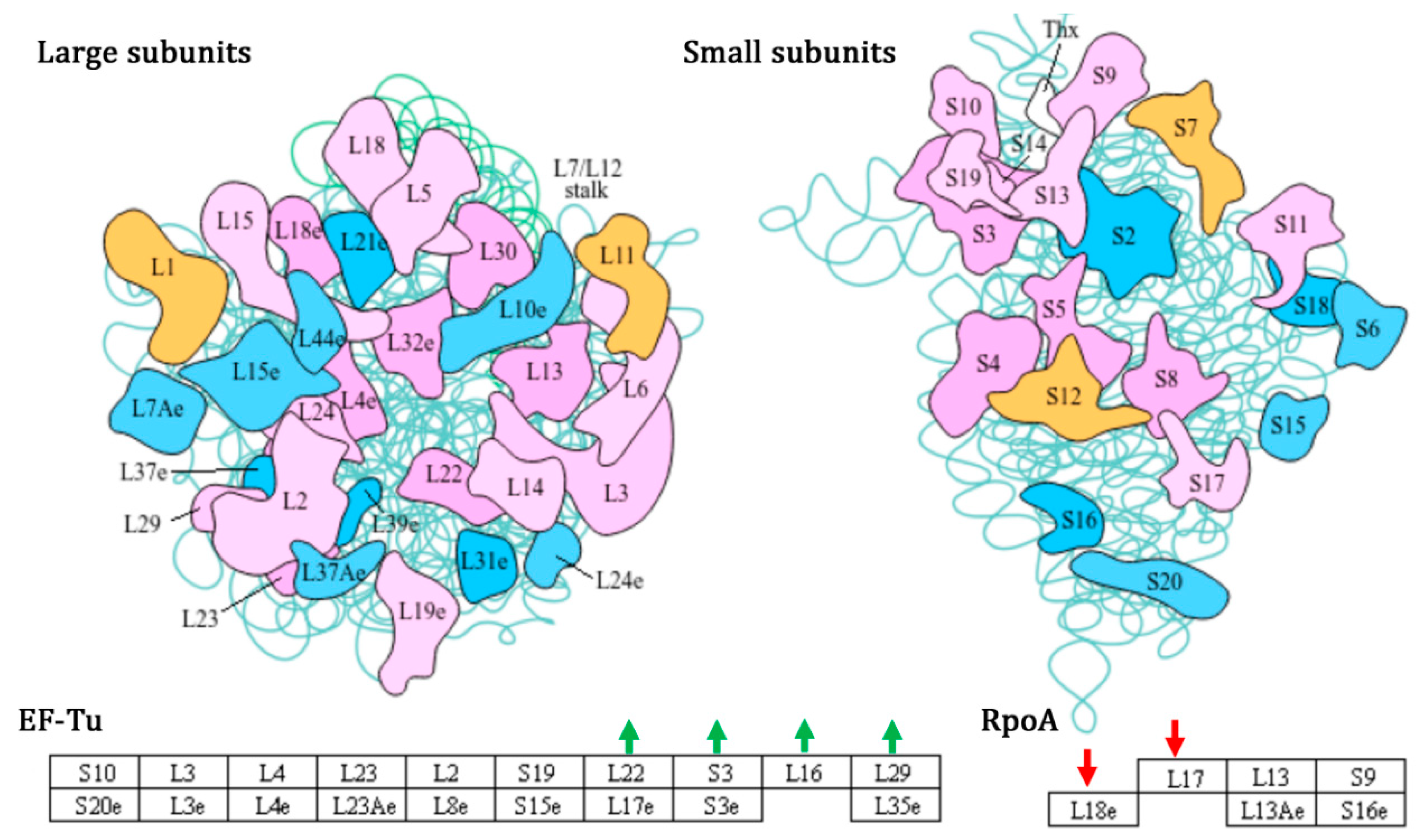 Fermentation 11 00280 g006