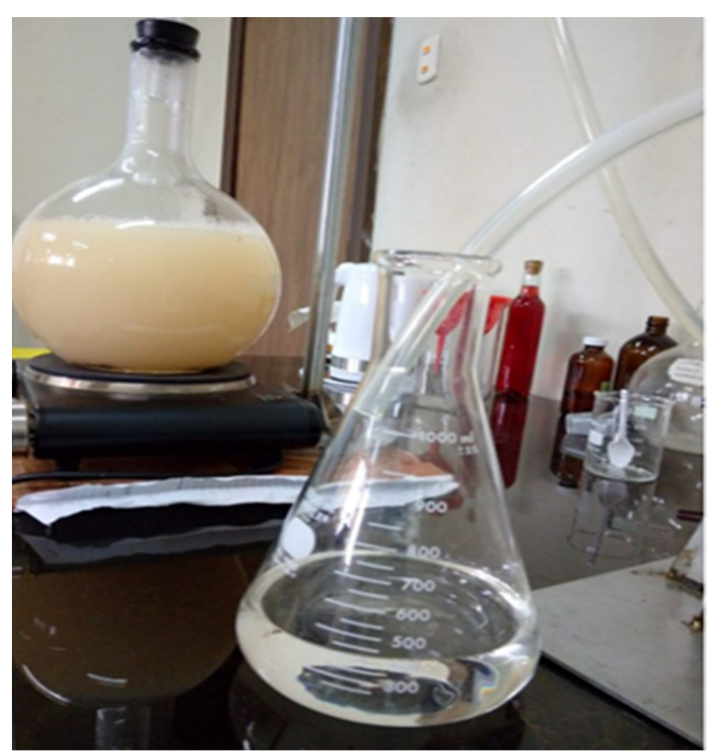 Fermentation 11 00281 g002 Fermentation 11 00281 g002