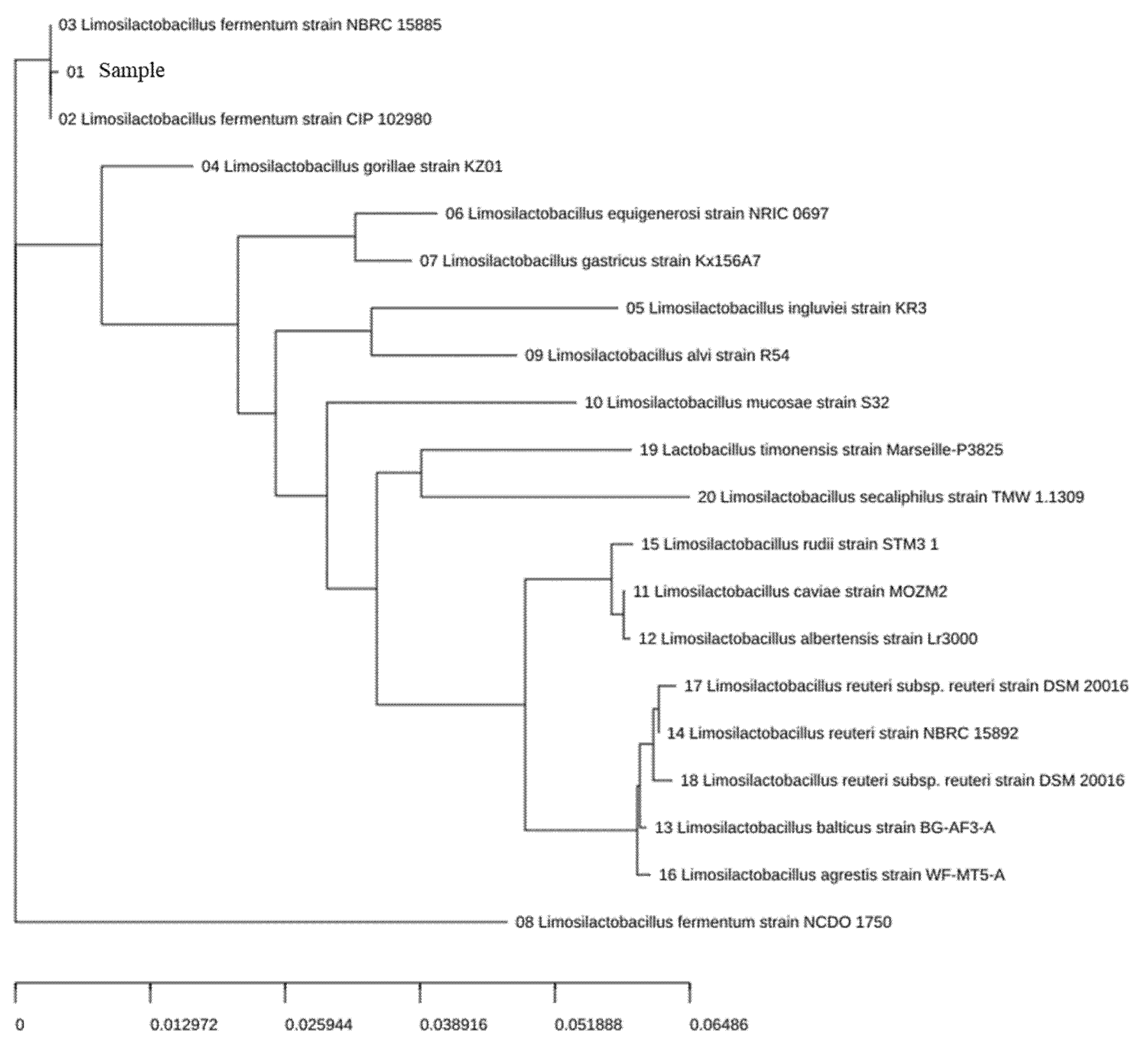 Fermentation 11 00286 g001