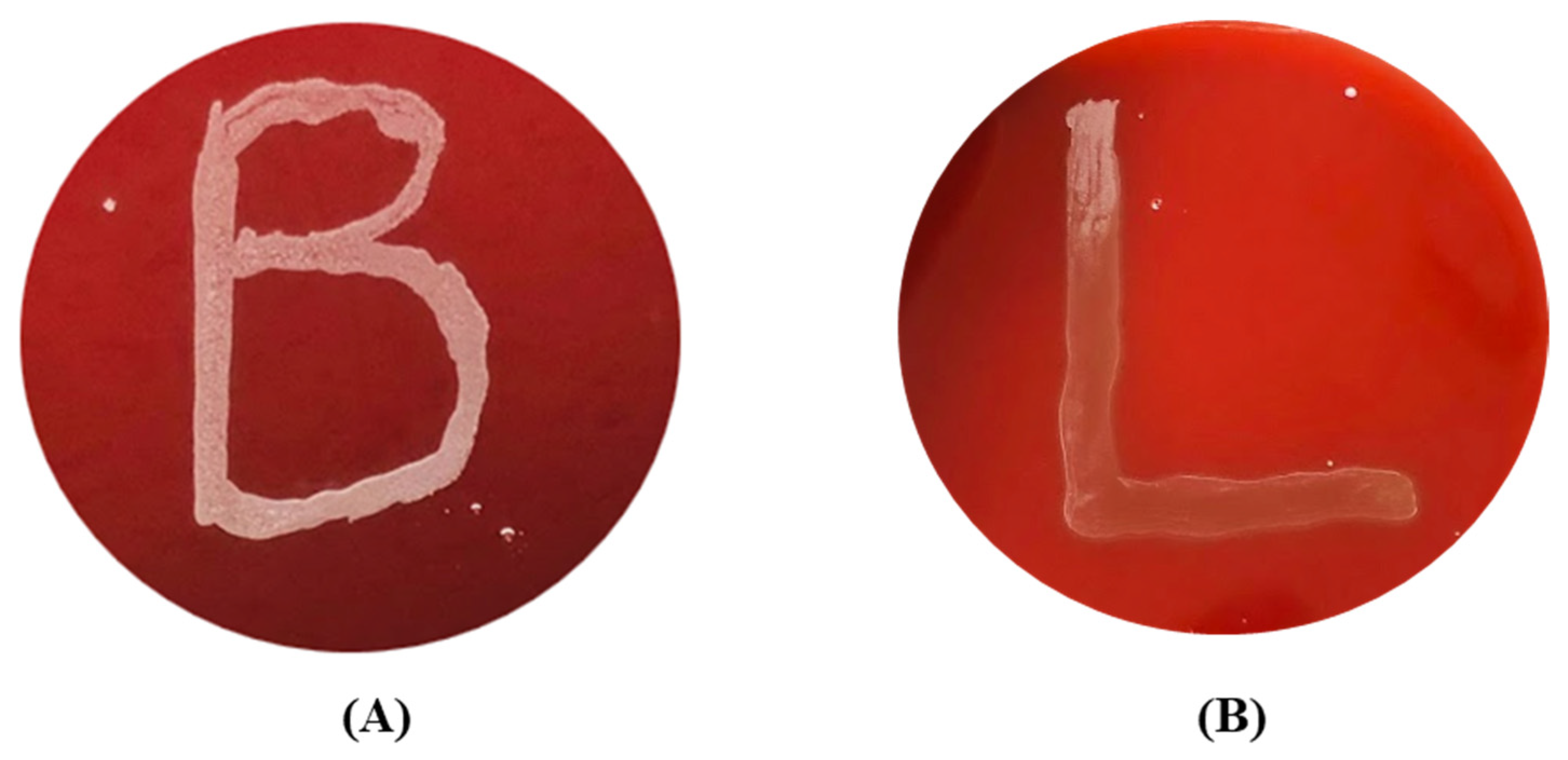 Fermentation 11 00286 g002