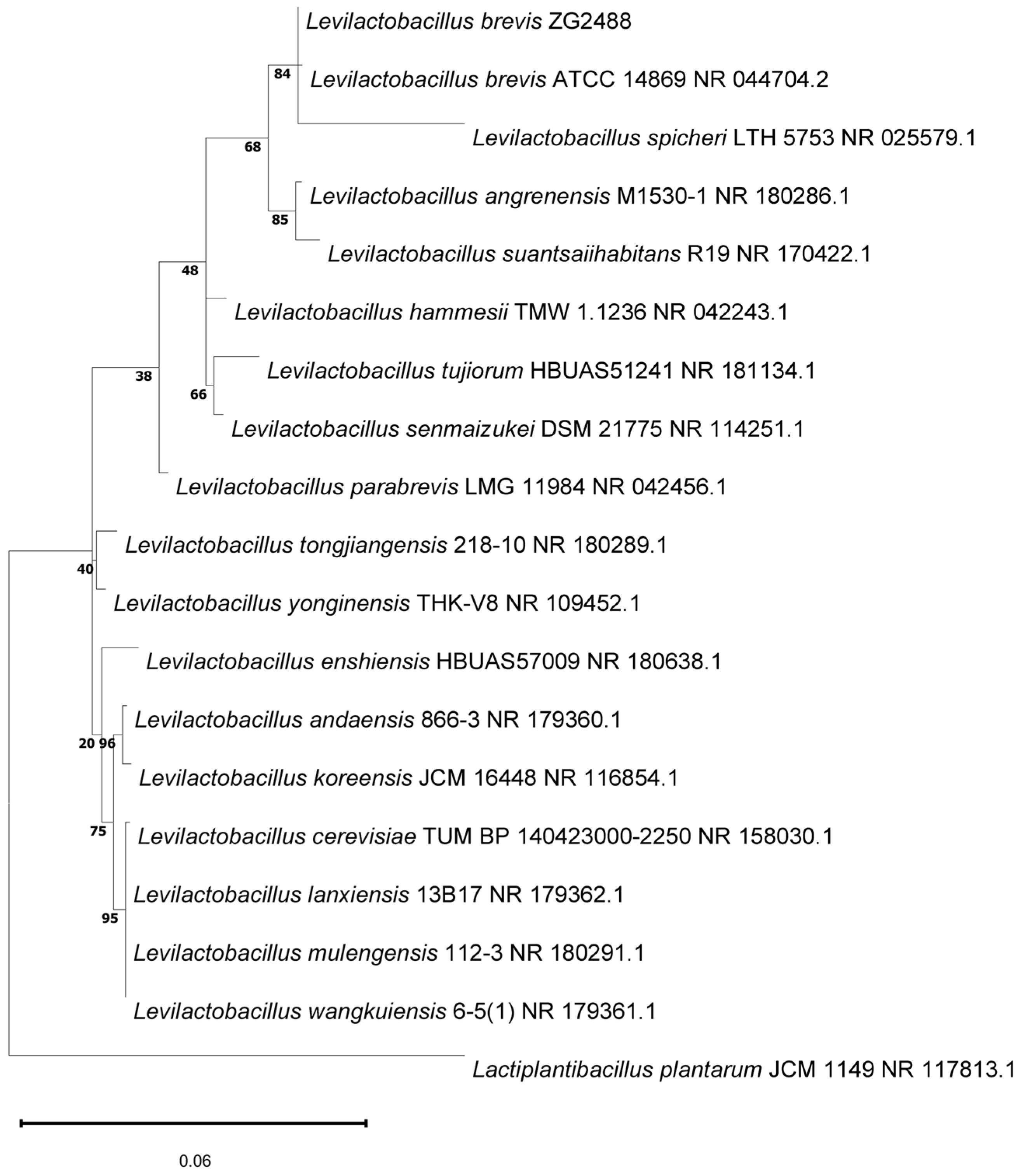 Fermentation 11 00287 g001