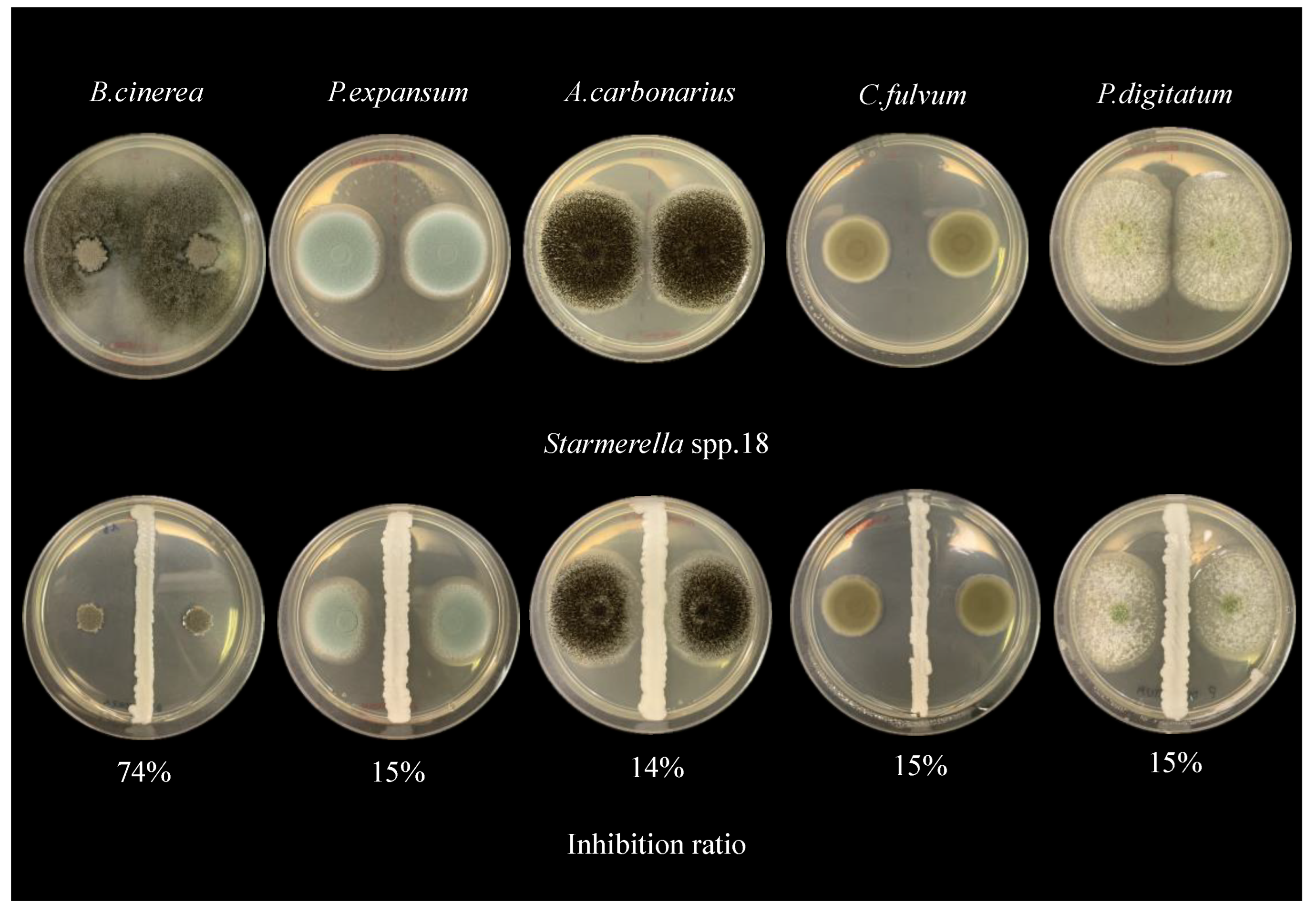 Fermentation 11 00290 g003