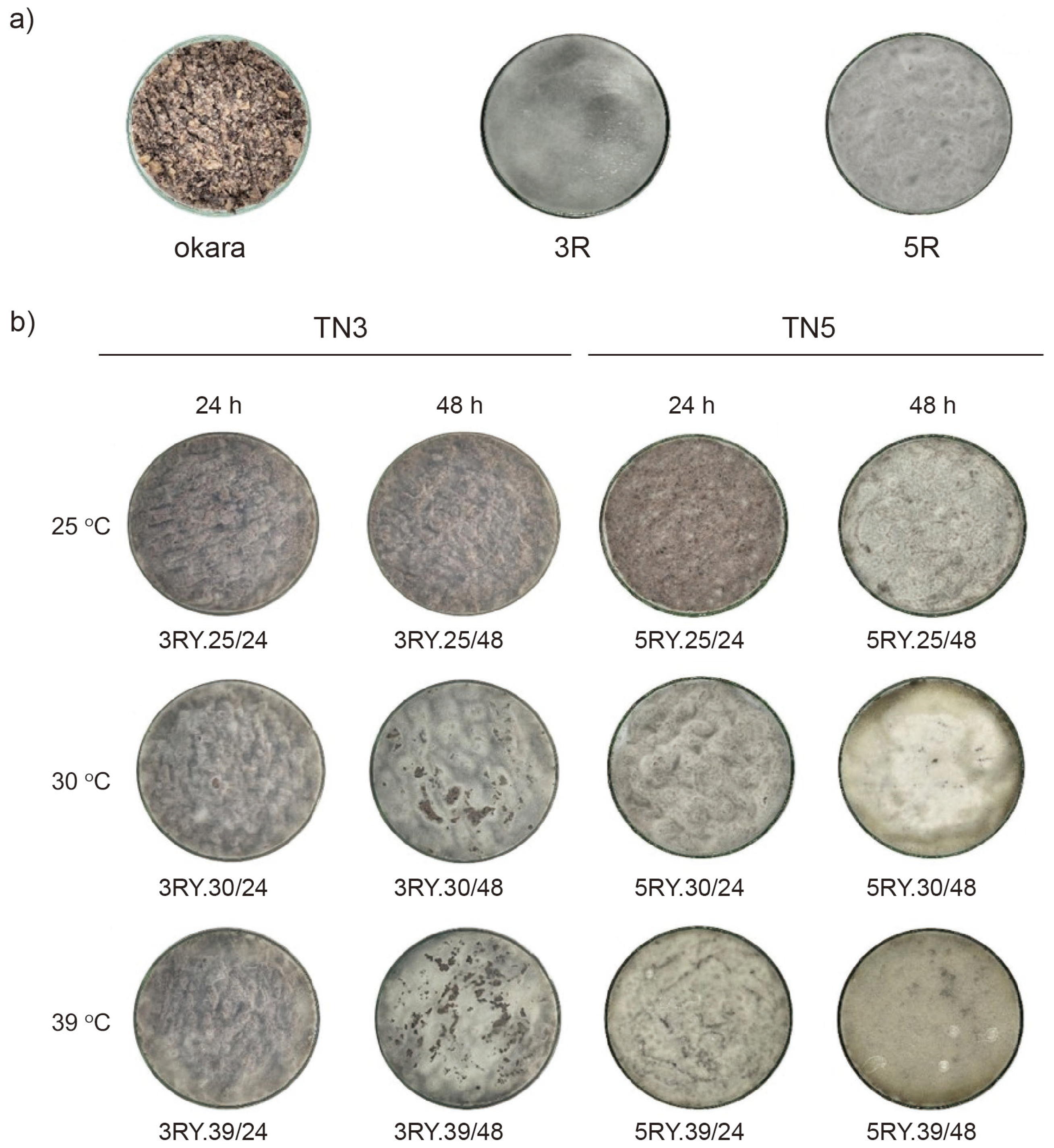 Fermentation 11 00296 g001