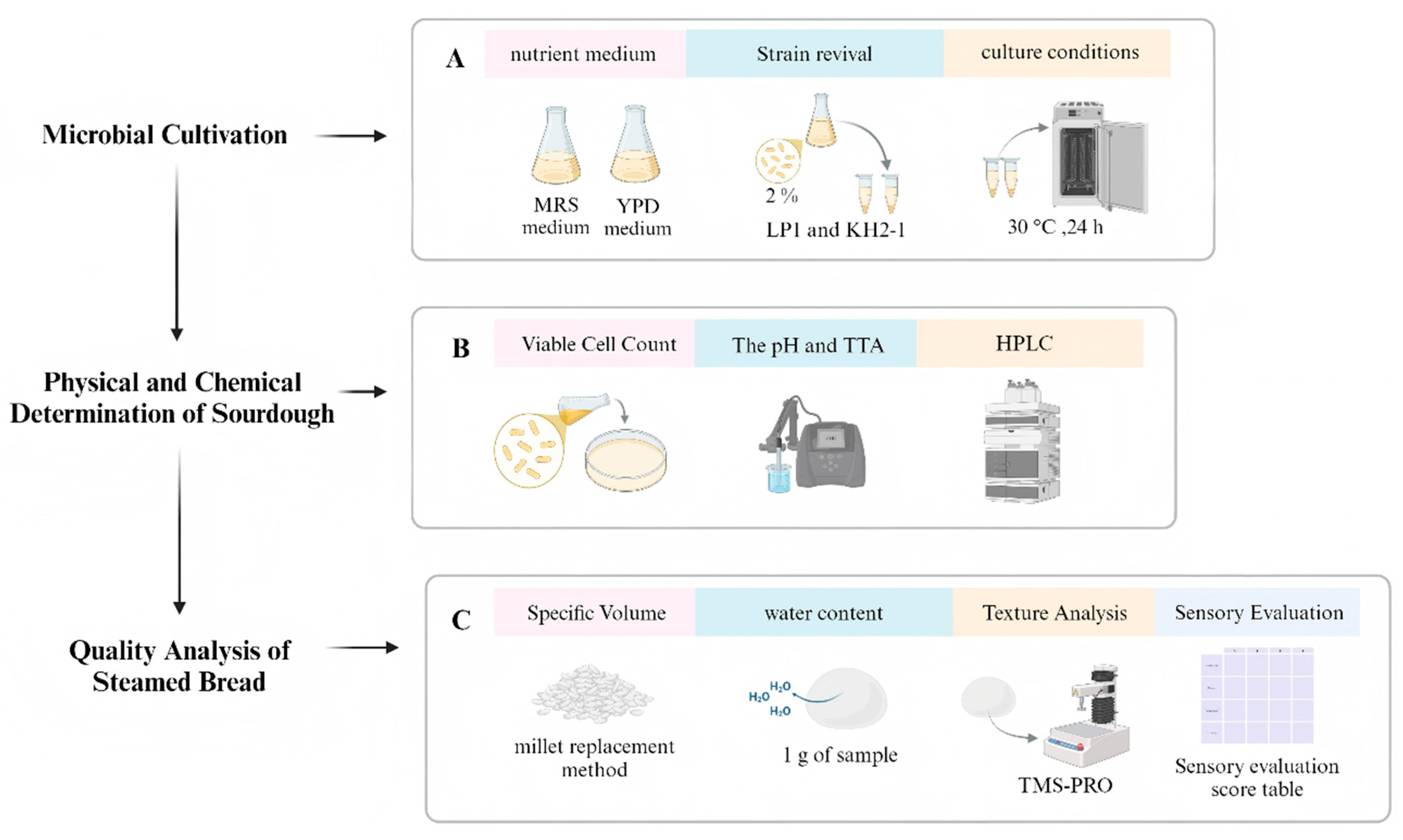 Fermentation 11 00298 g001