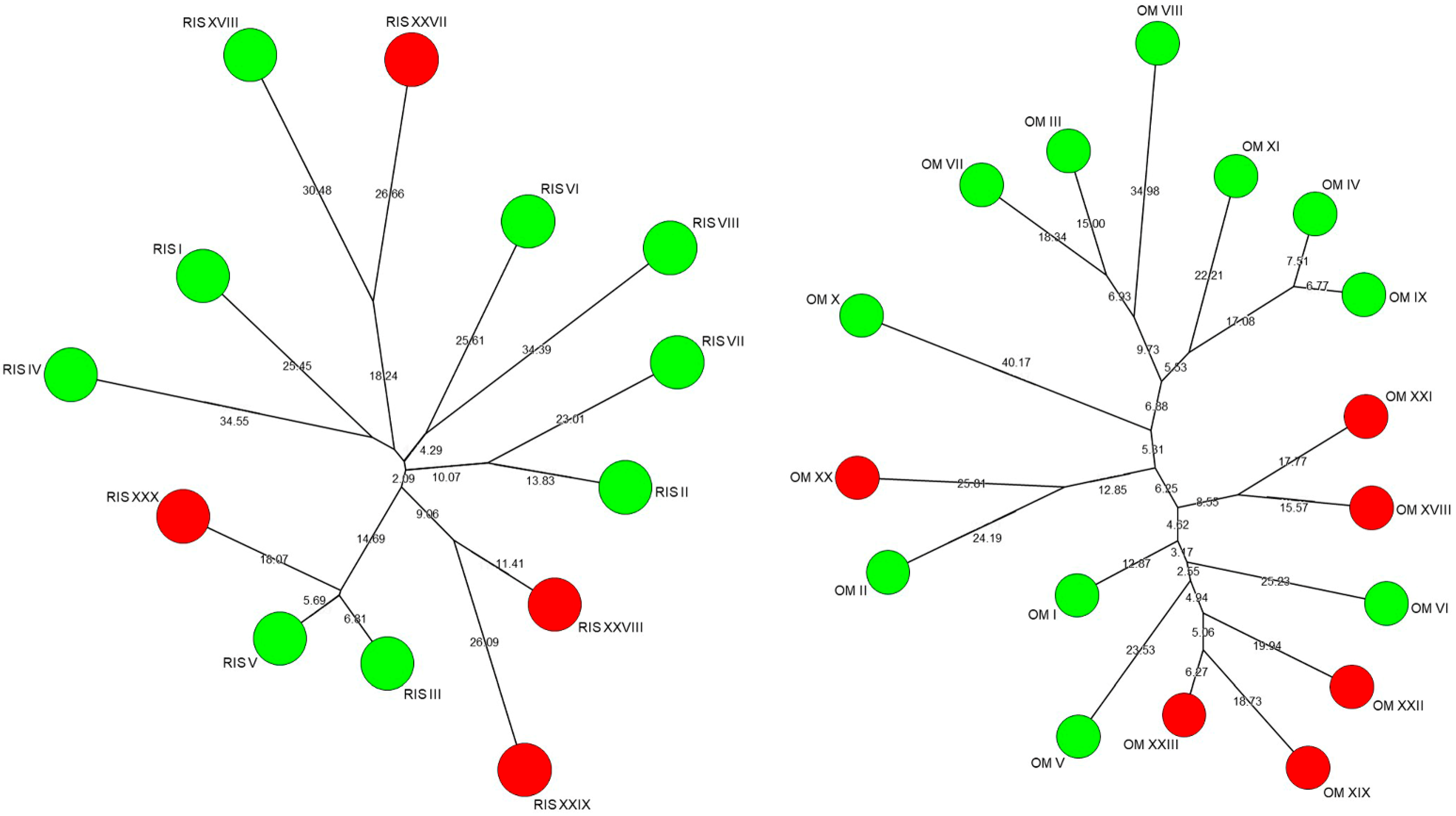 Fermentation 11 00310 g007