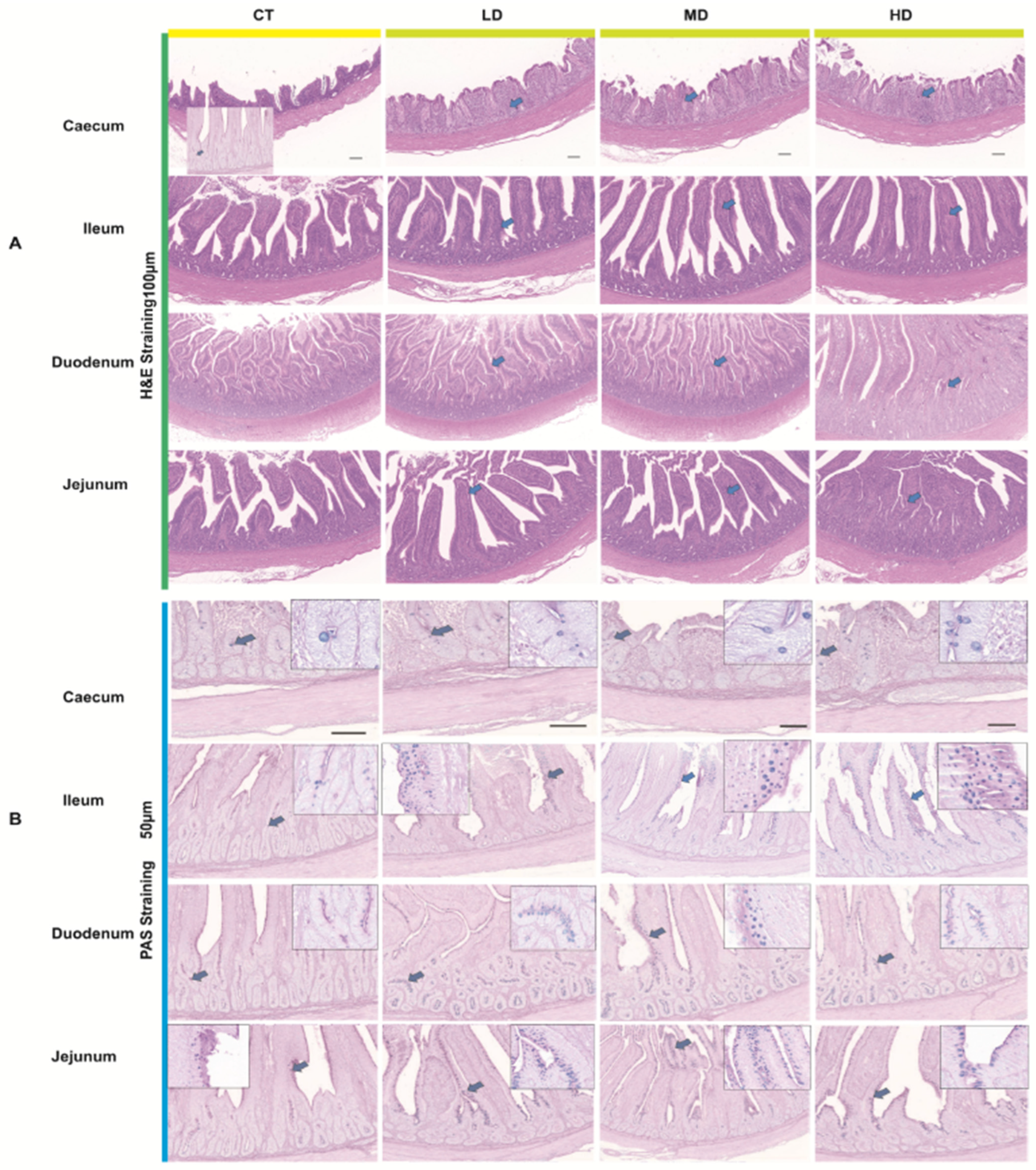 Fermentation 11 00311 g001