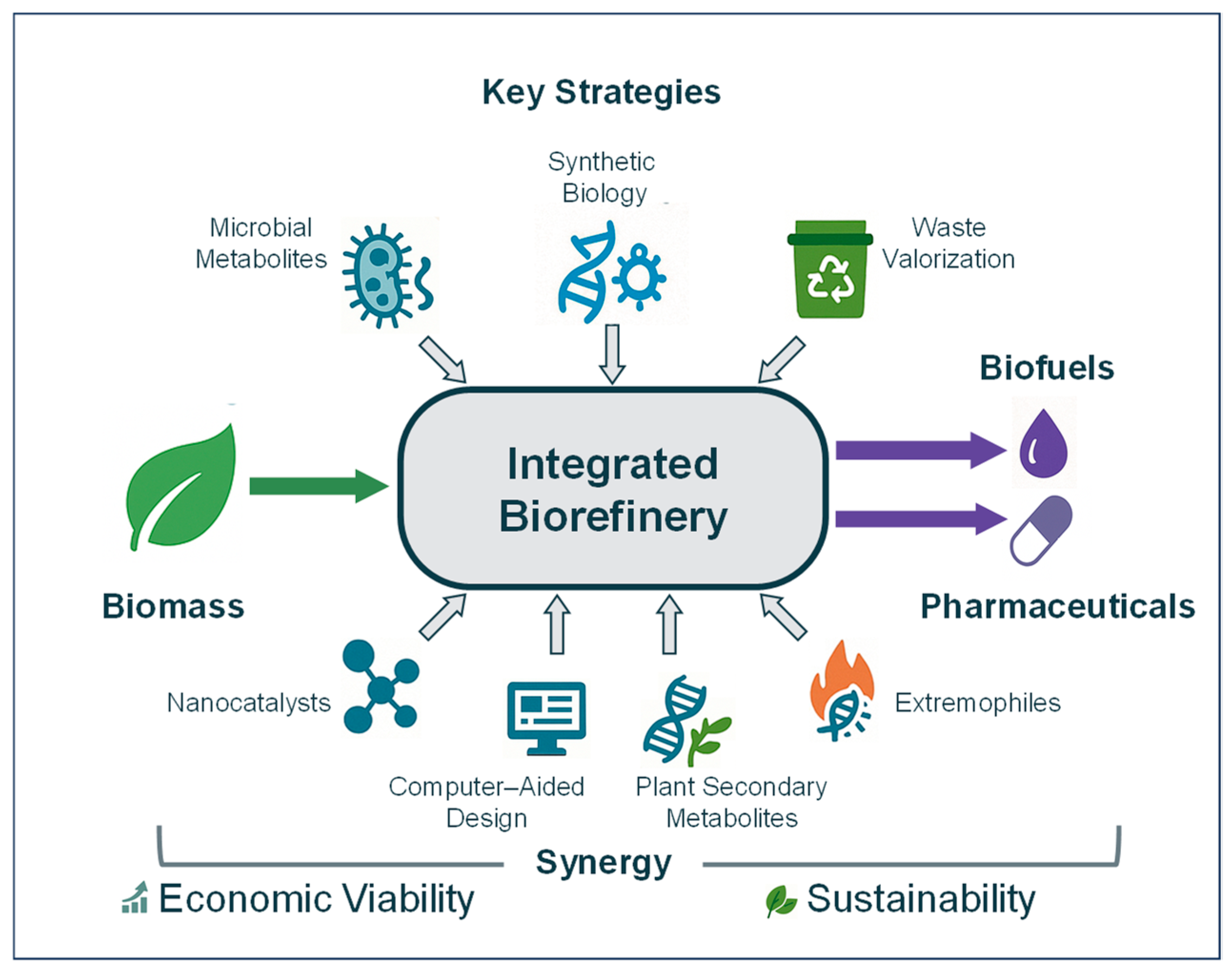Fermentation 11 00312 g001