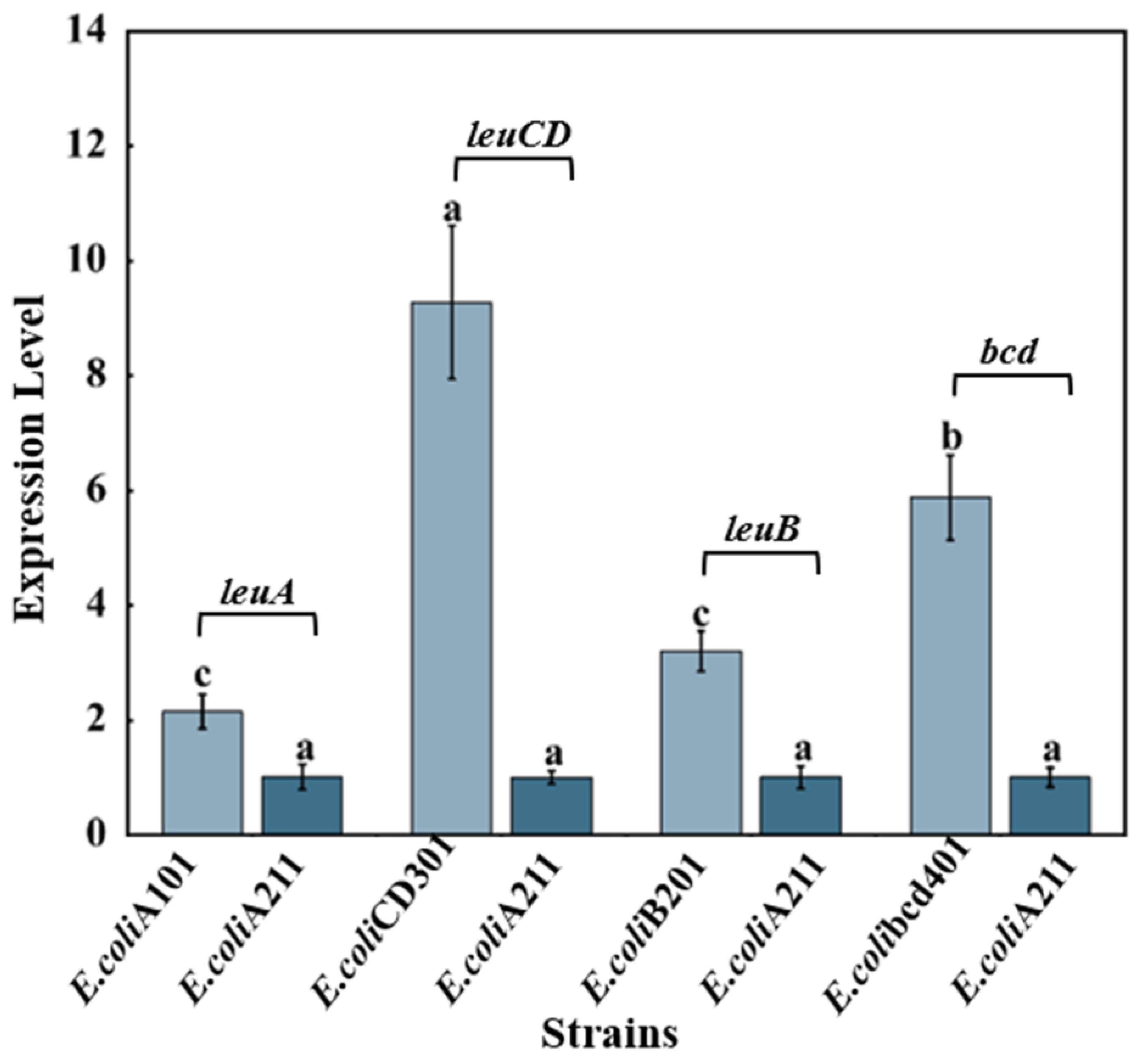 Fermentation 11 00314 g004