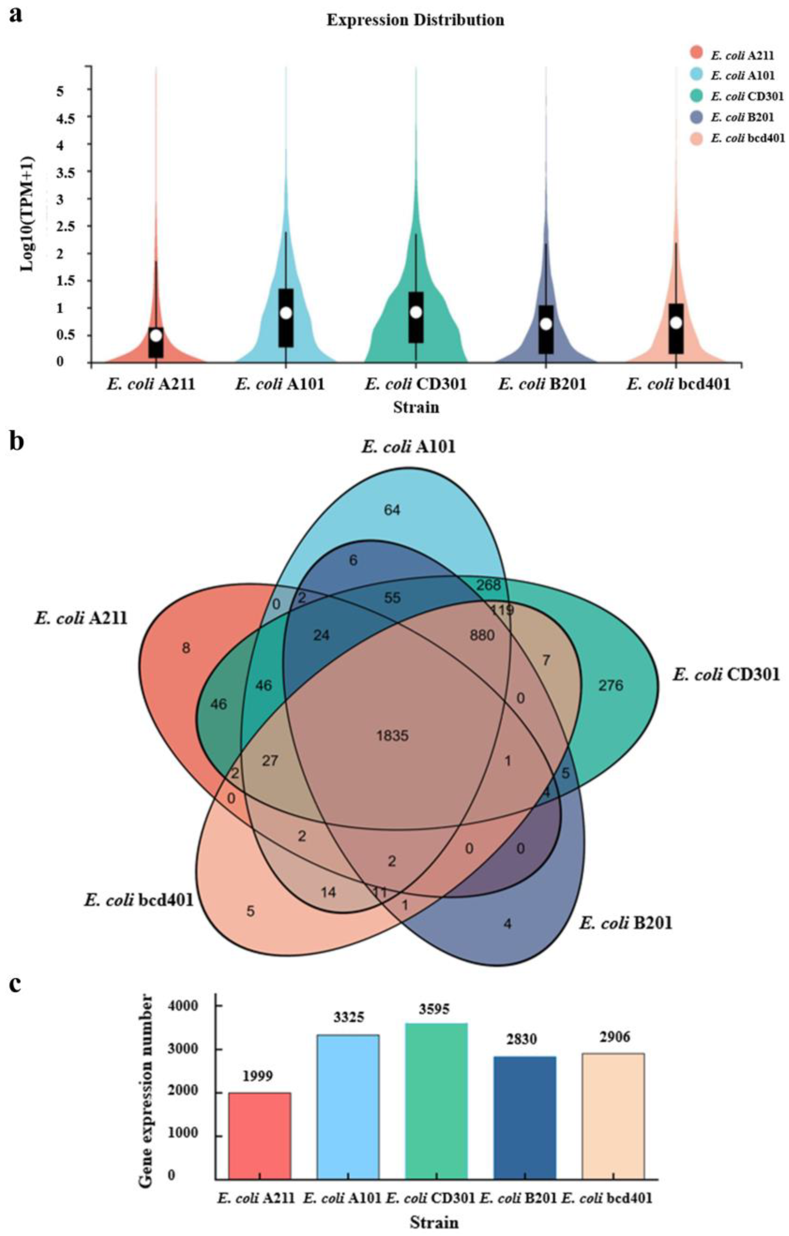 Fermentation 11 00314 g005