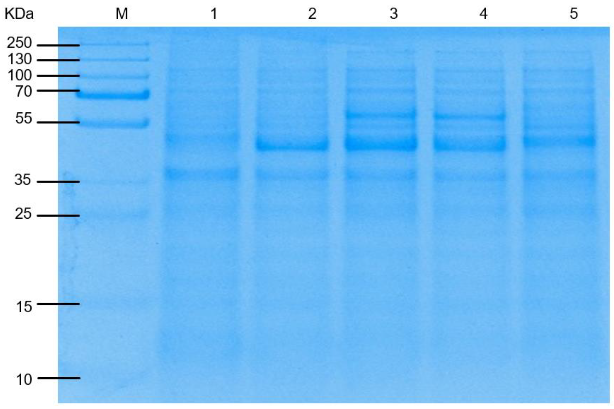 Fermentation 11 00314 g007