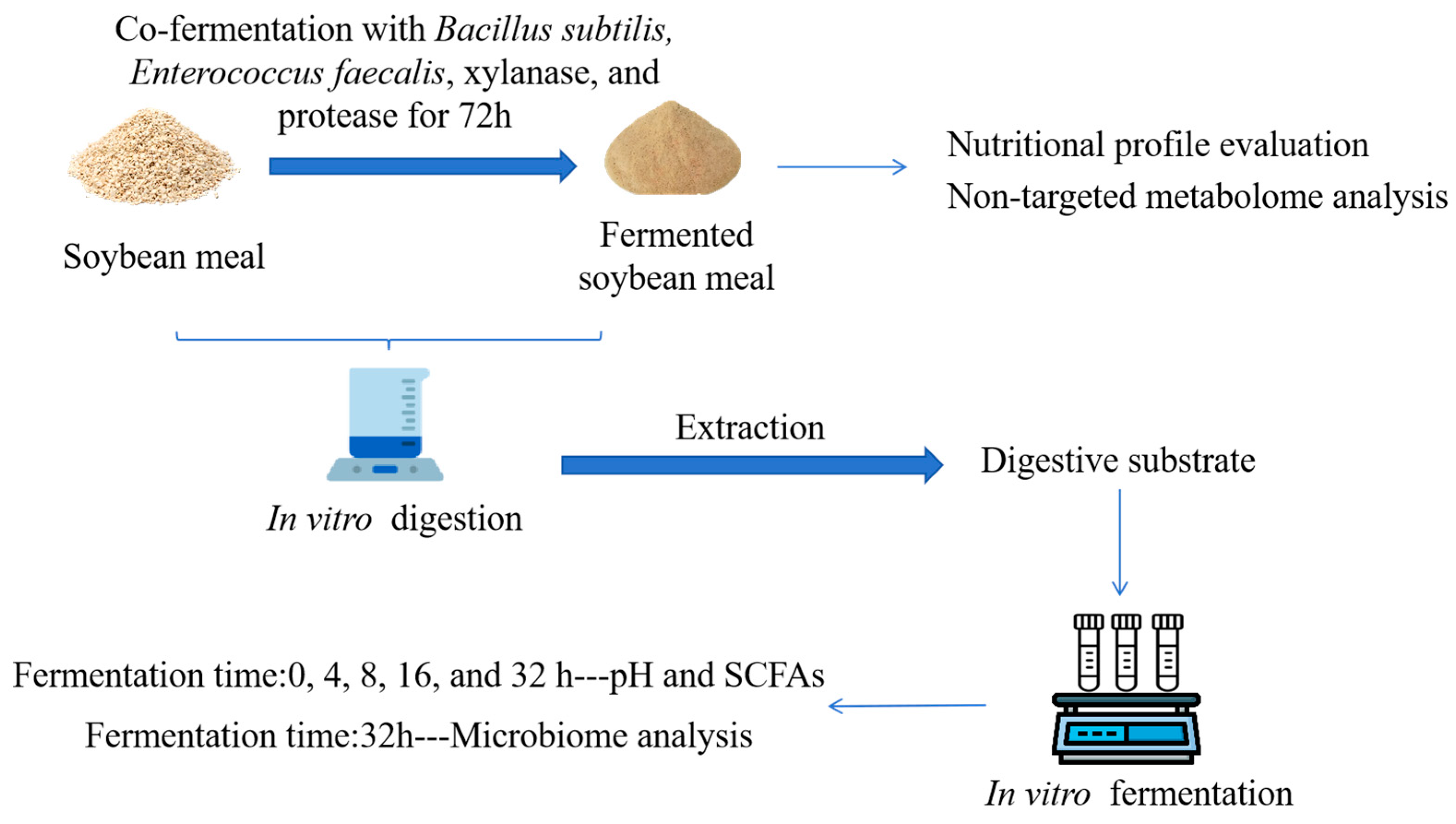 Fermentation 11 00315 g001
