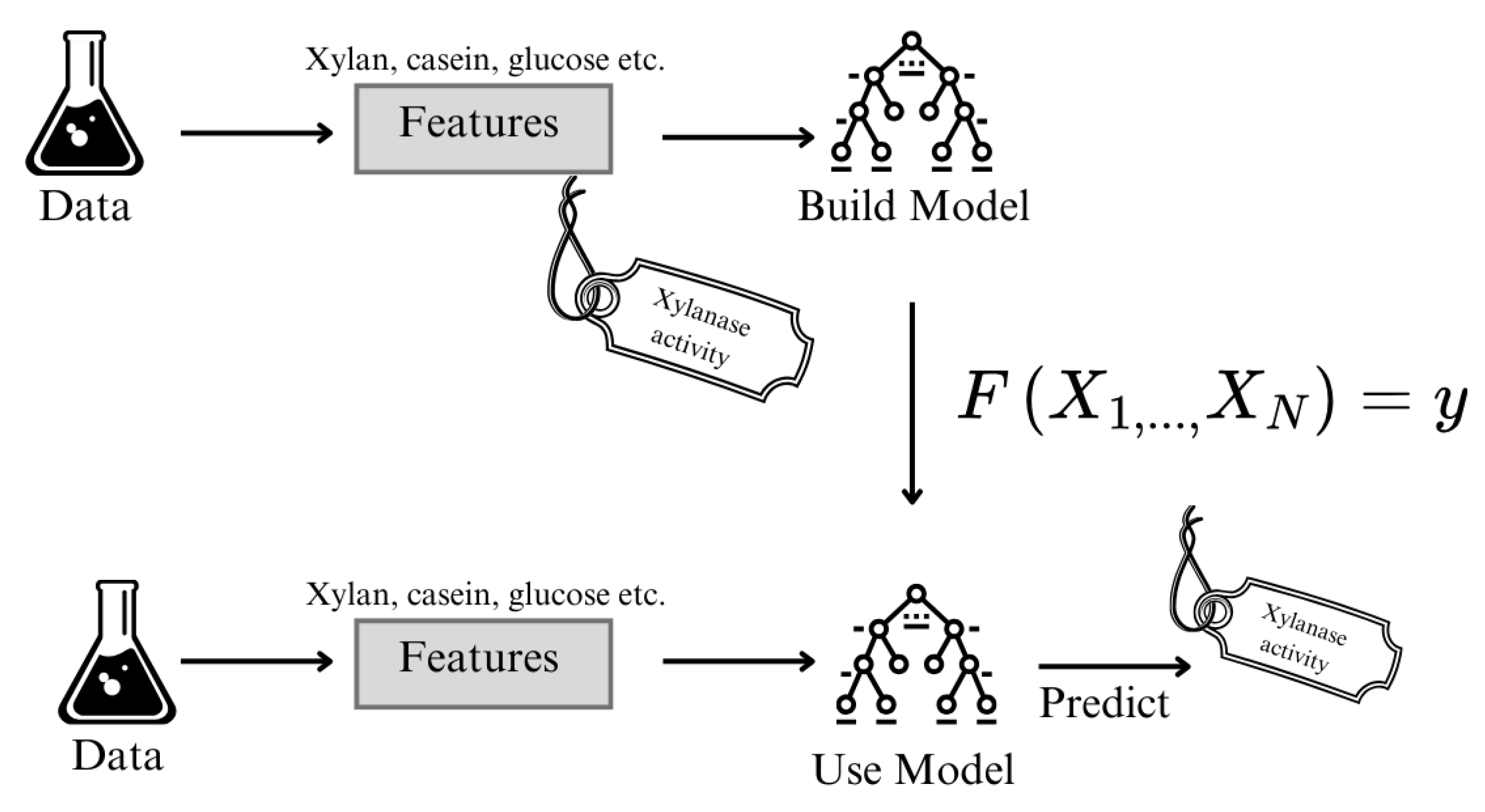 Fermentation 11 00319 g001