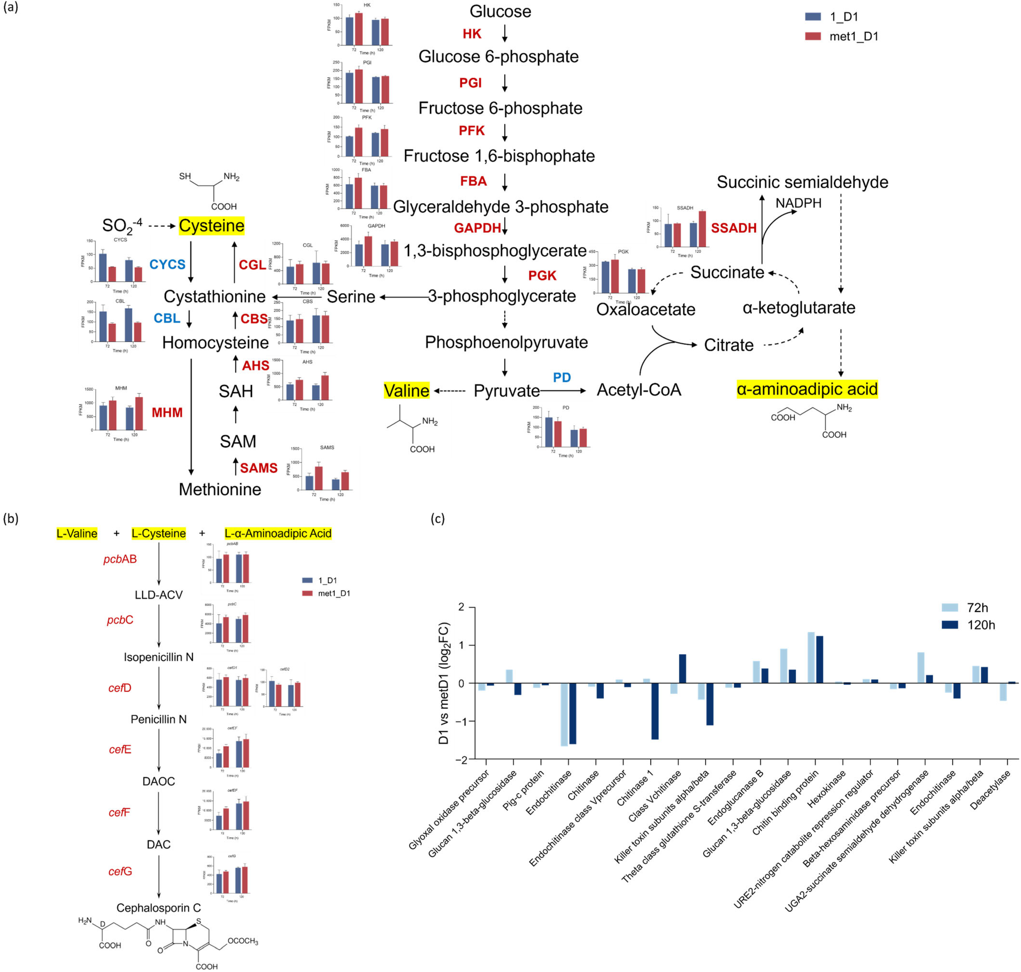 Fermentation 11 00325 g004