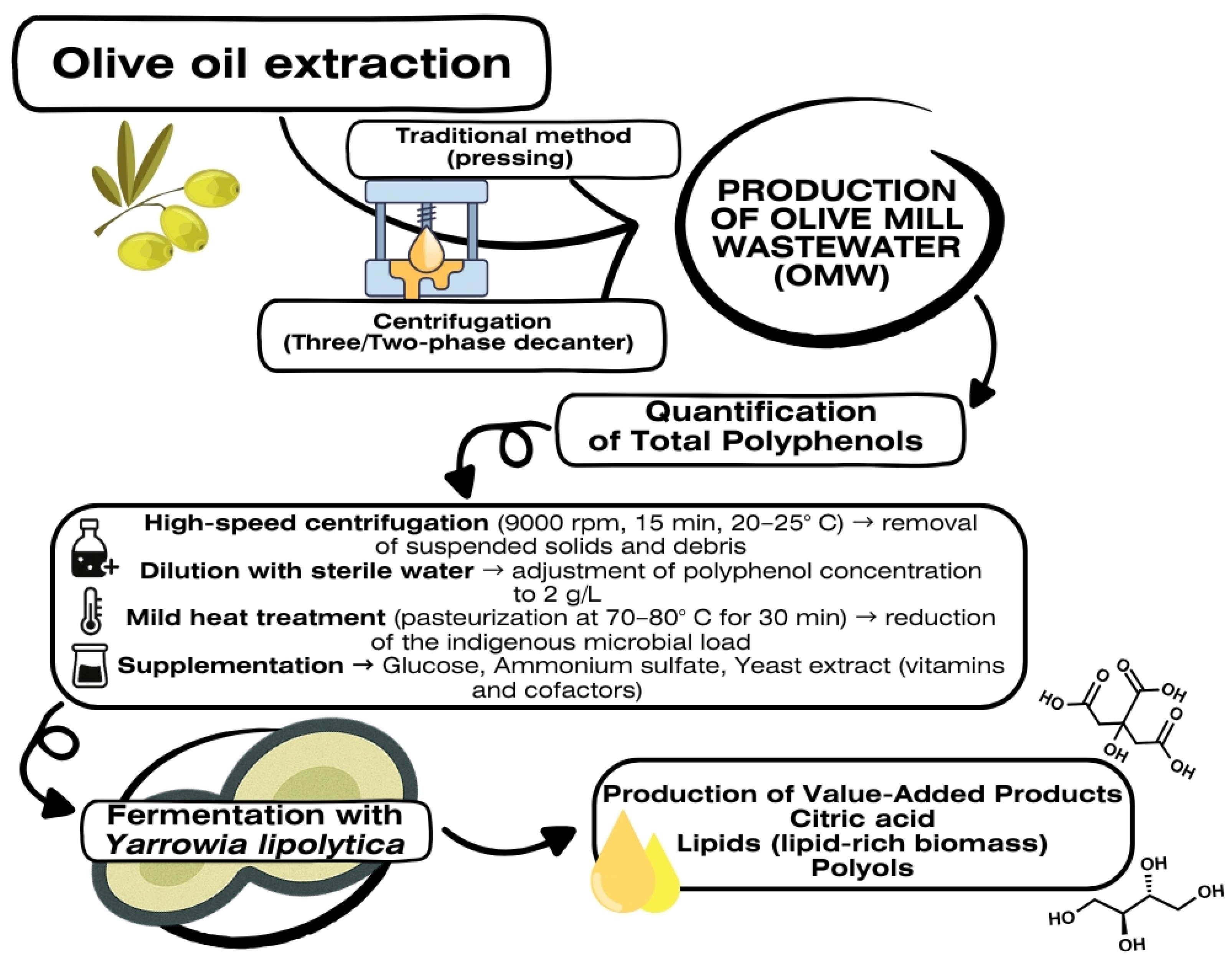 Fermentation 11 00326 g002