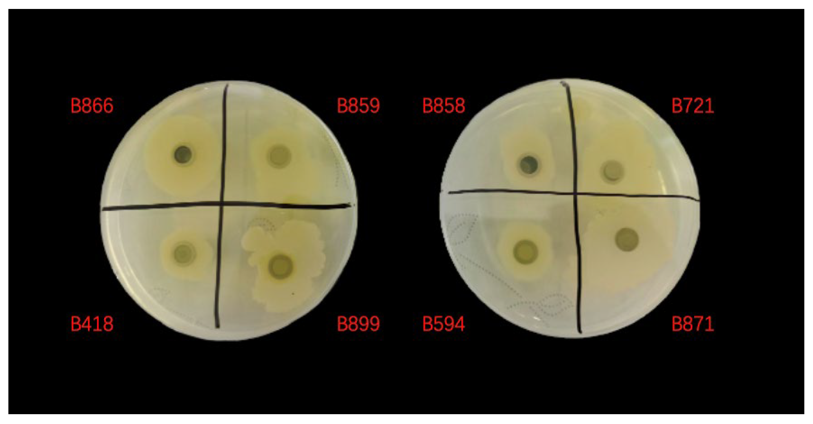 Fermentation 11 00327 g005