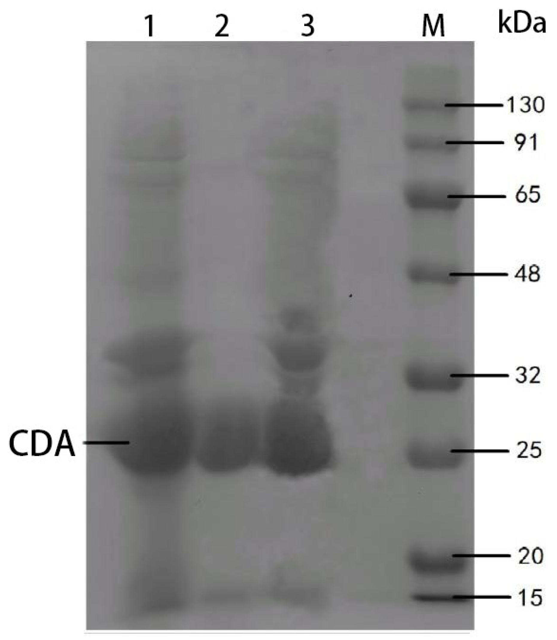 Fermentation 11 00327 g009