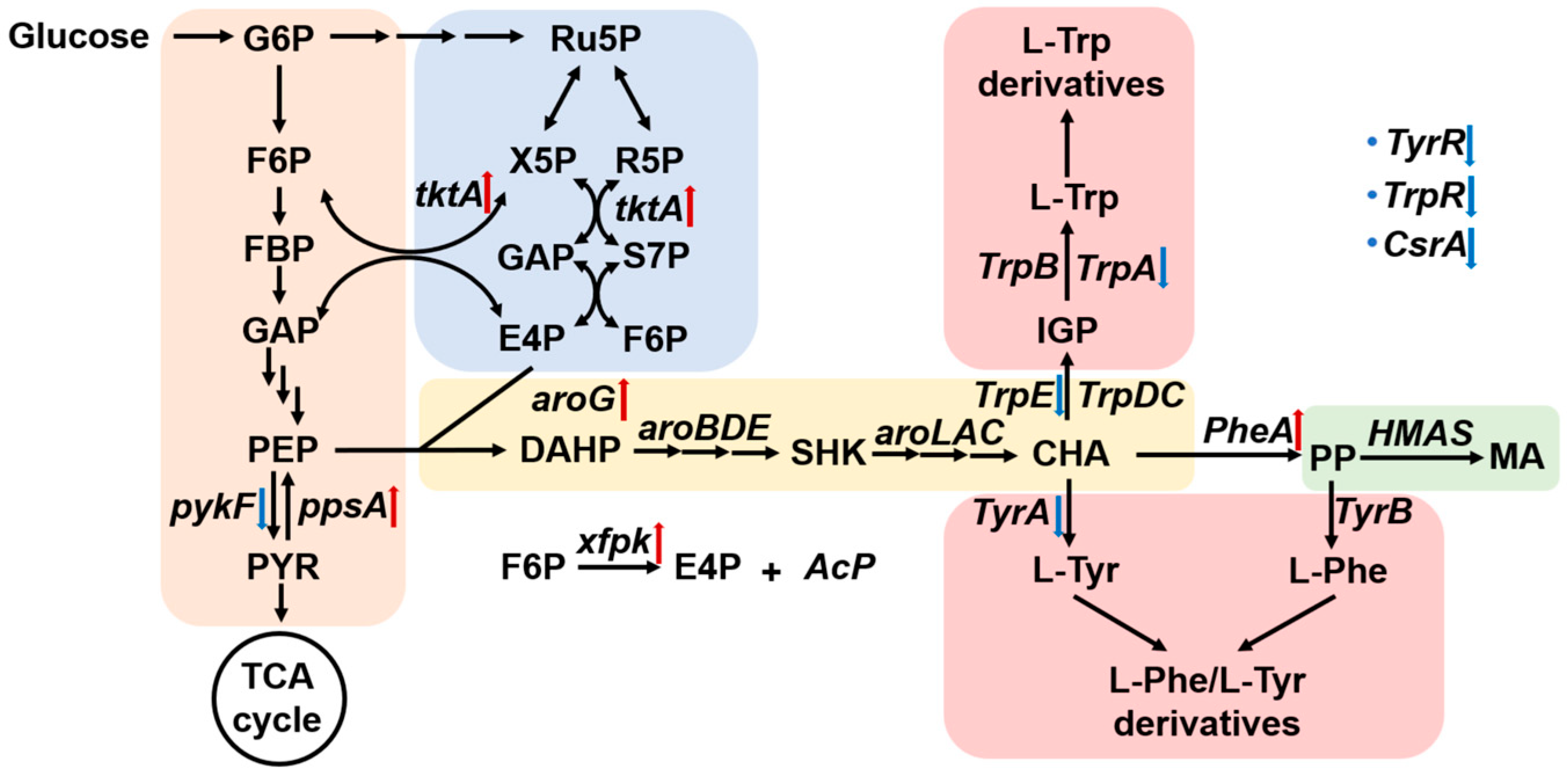 Fermentation 11 00331 g001