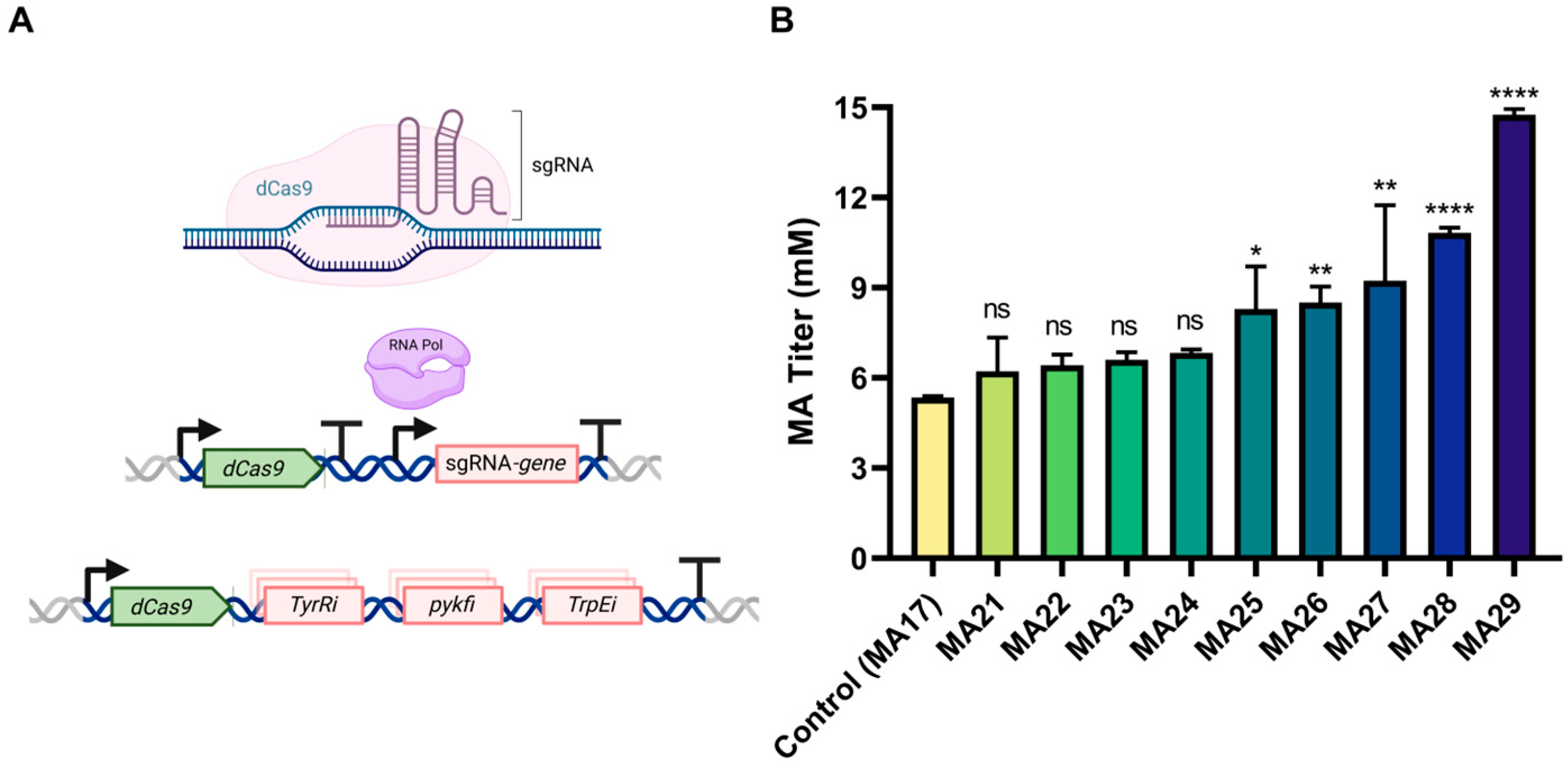 Fermentation 11 00331 g004