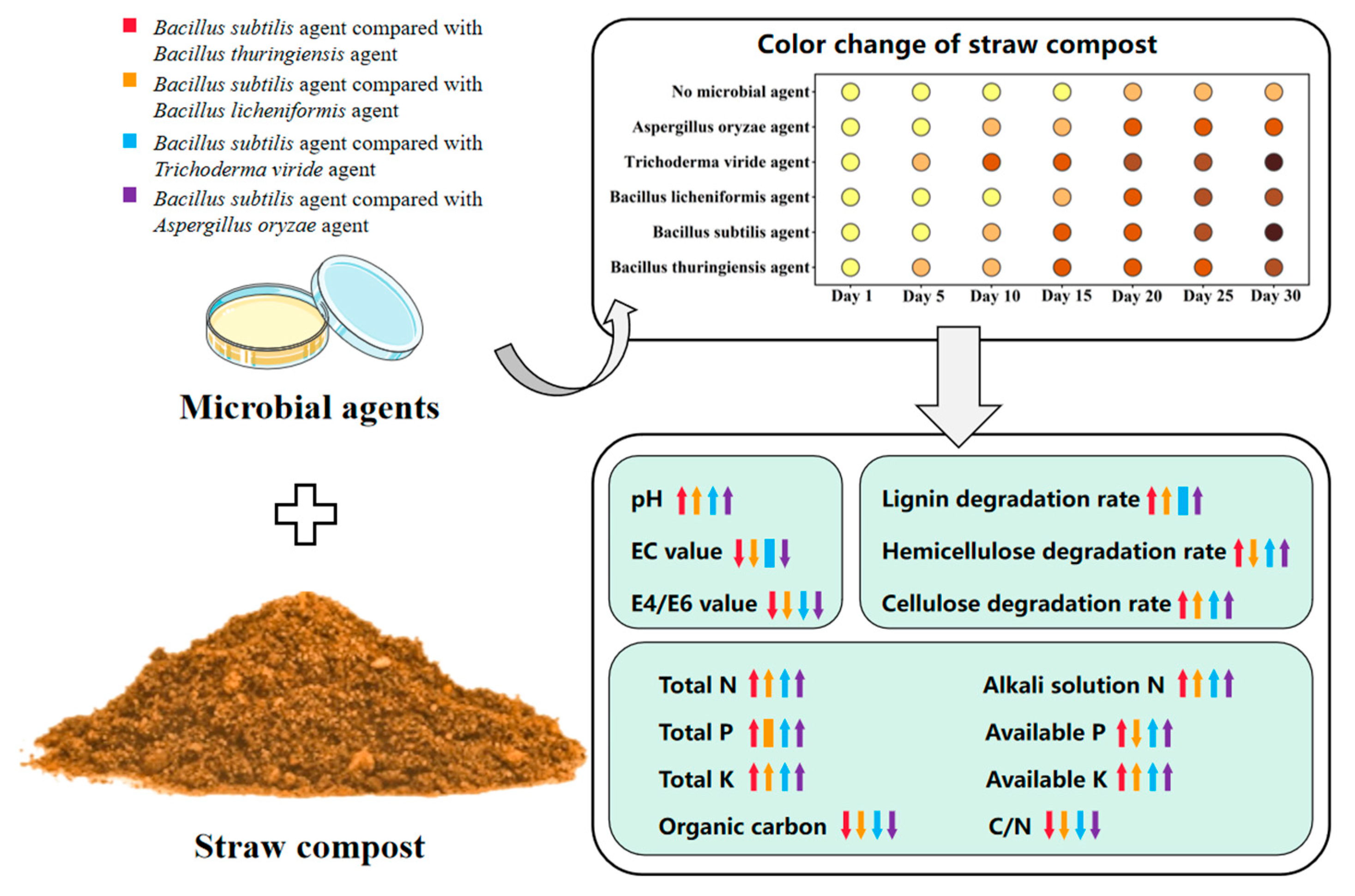 Fermentation 11 00332 g007