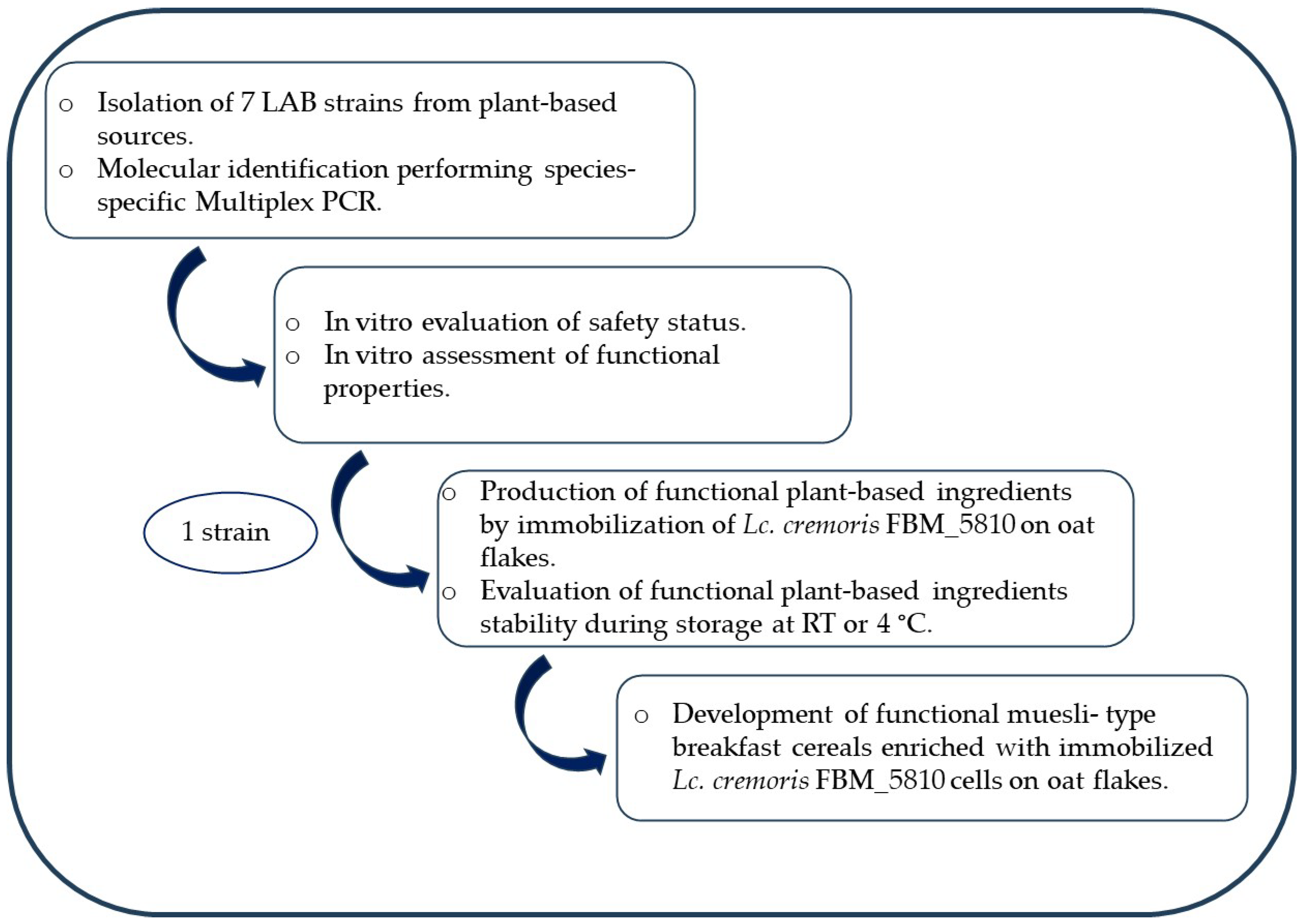Fermentation 11 00335 g001