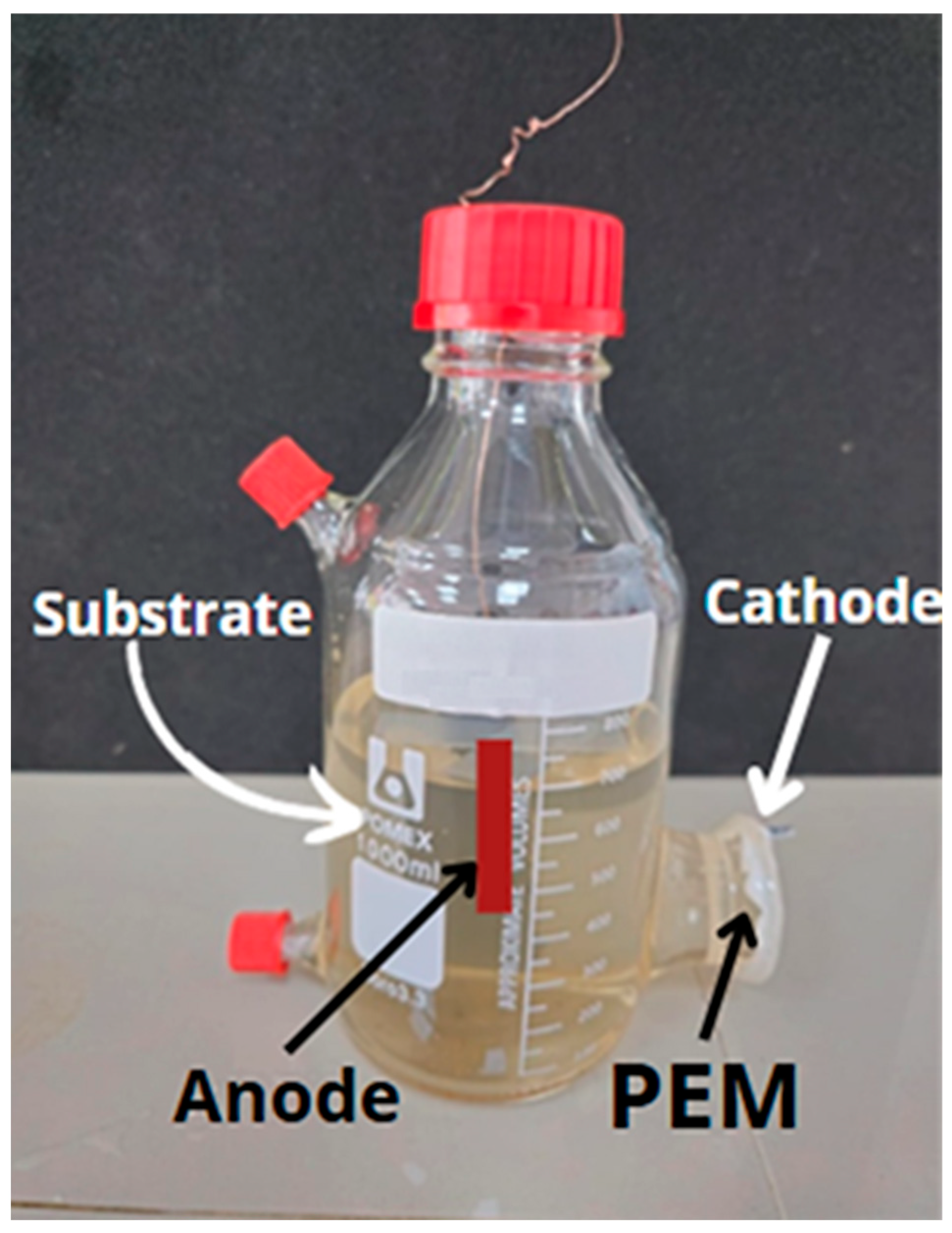 Fermentation 11 00341 g001