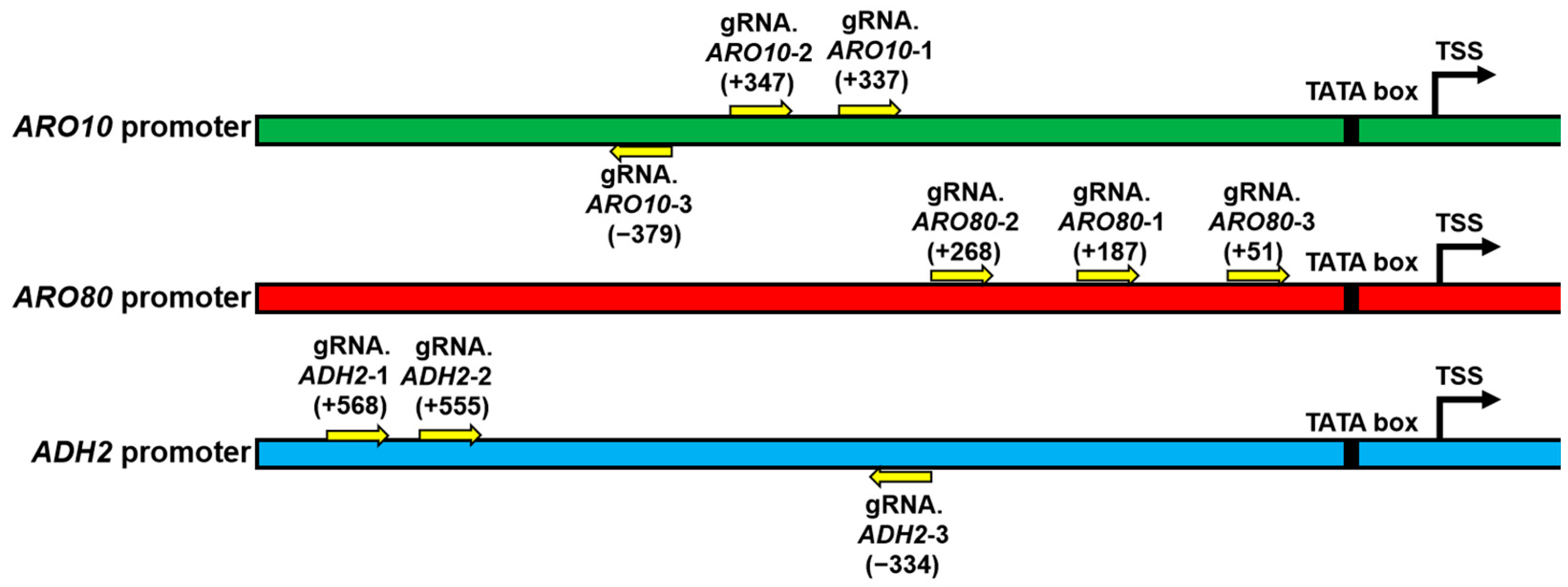 Fermentation 11 00345 g002