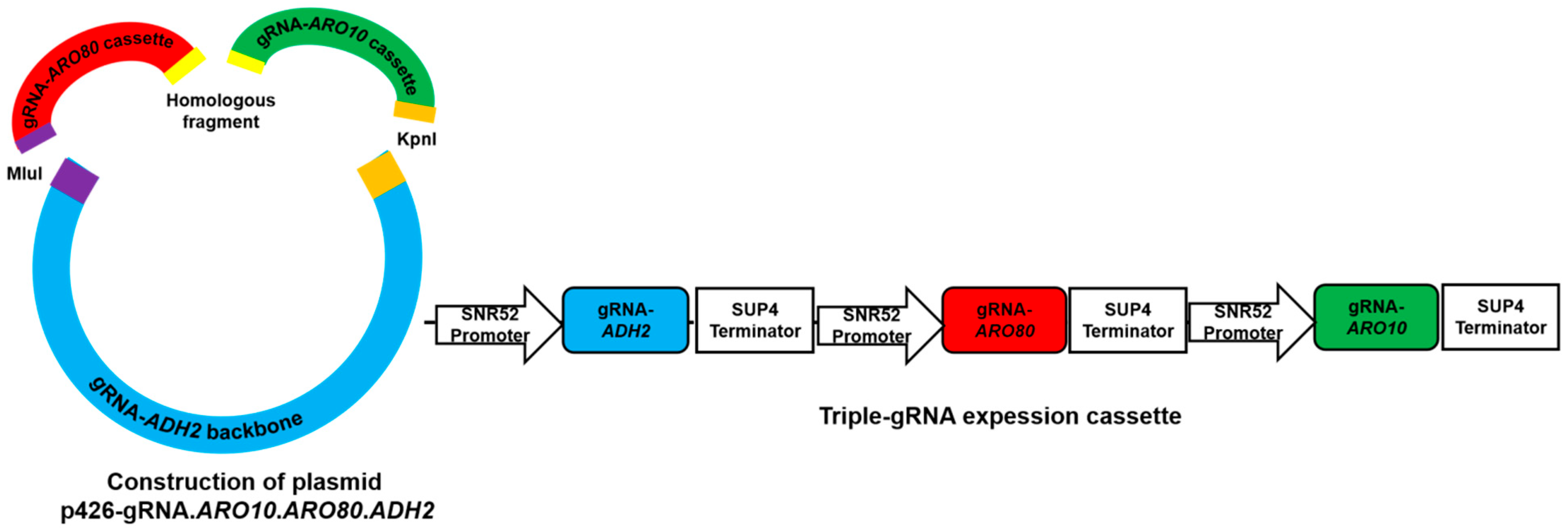 Fermentation 11 00345 g004