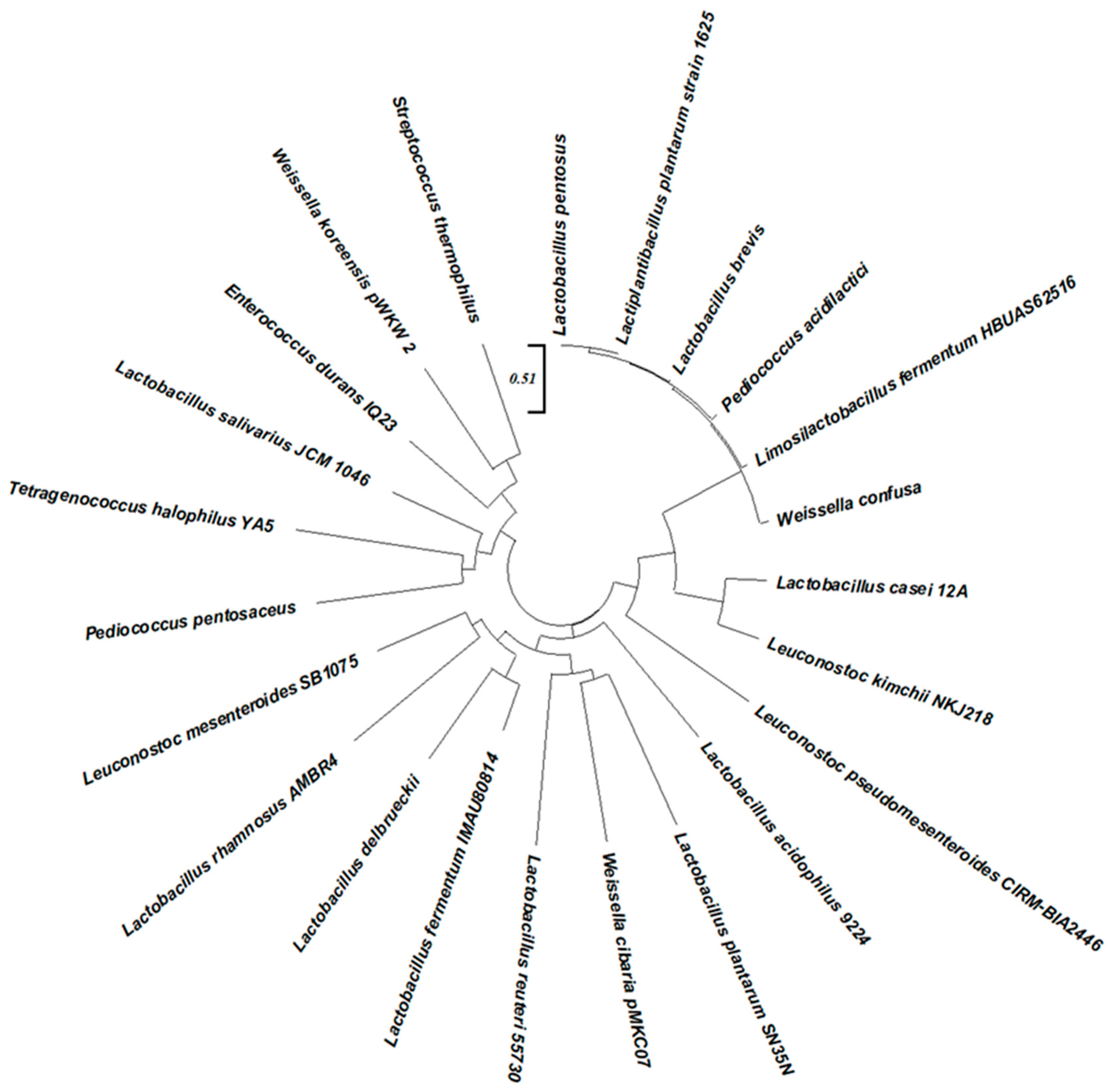 Fermentation 11 00346 g001