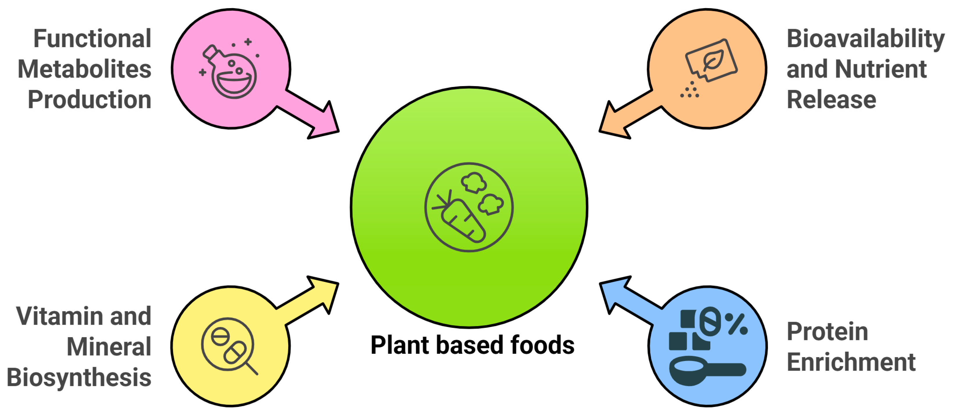 Fermentation 11 00346 g002
