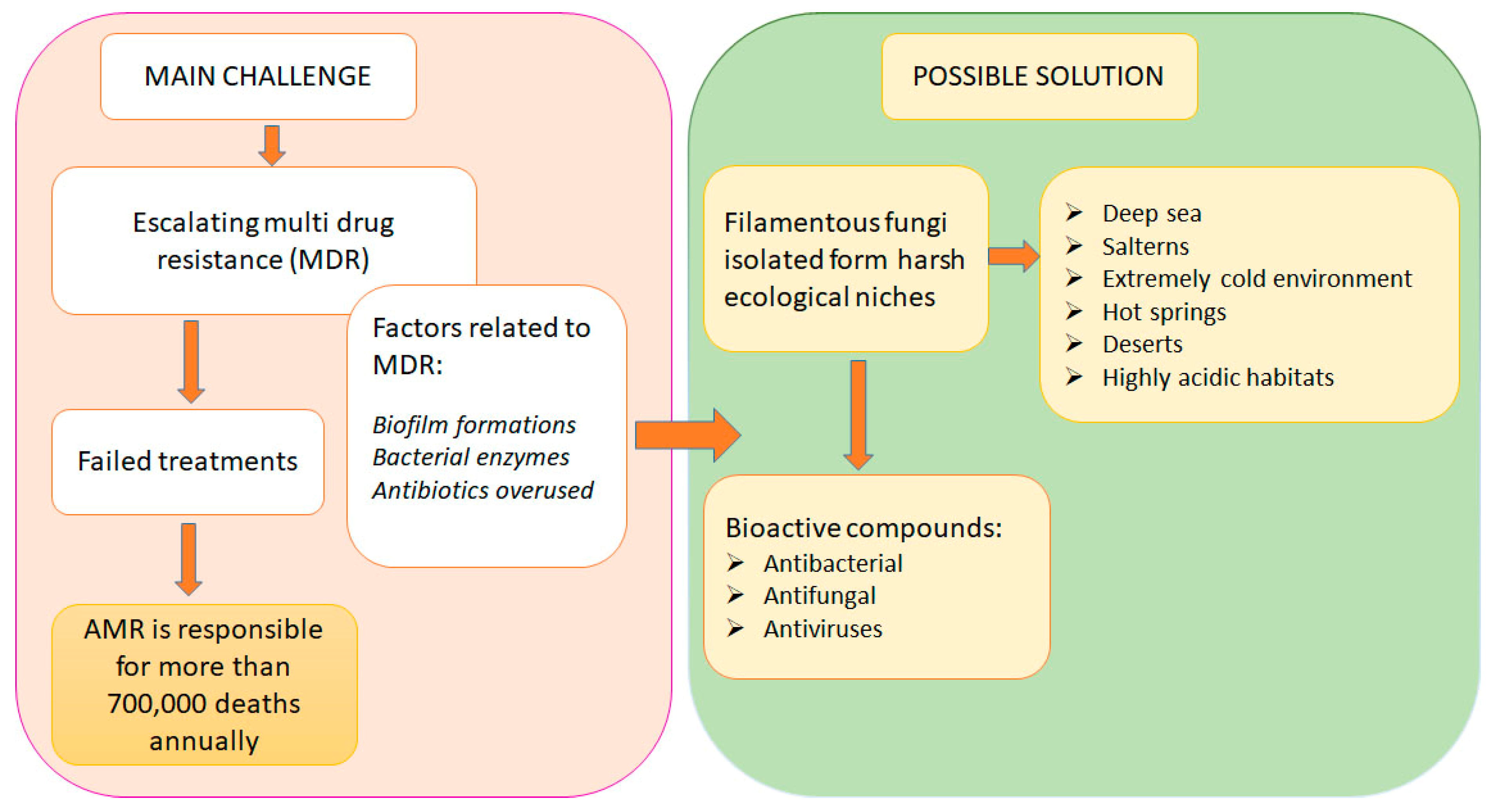 Fermentation 11 00347 g002