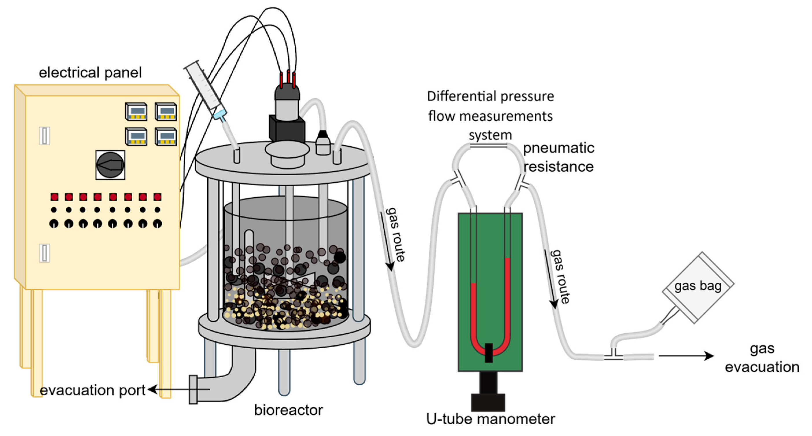 Fermentation 11 00348 g001
