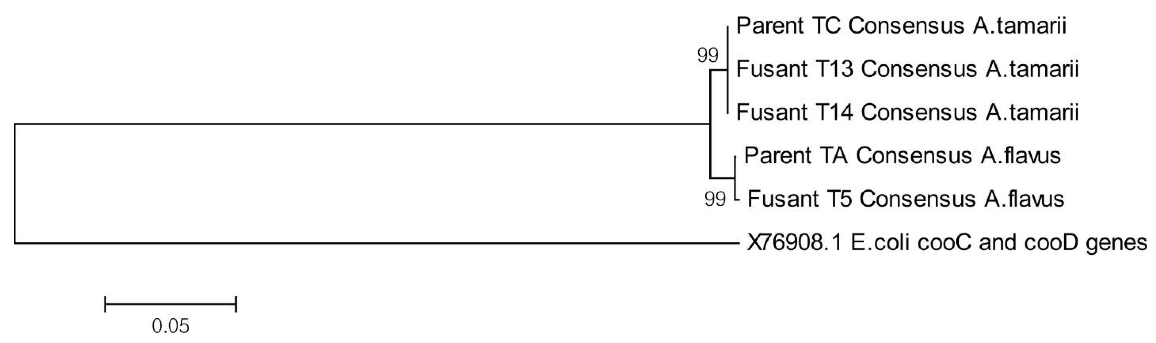 Fermentation 11 00356 g001