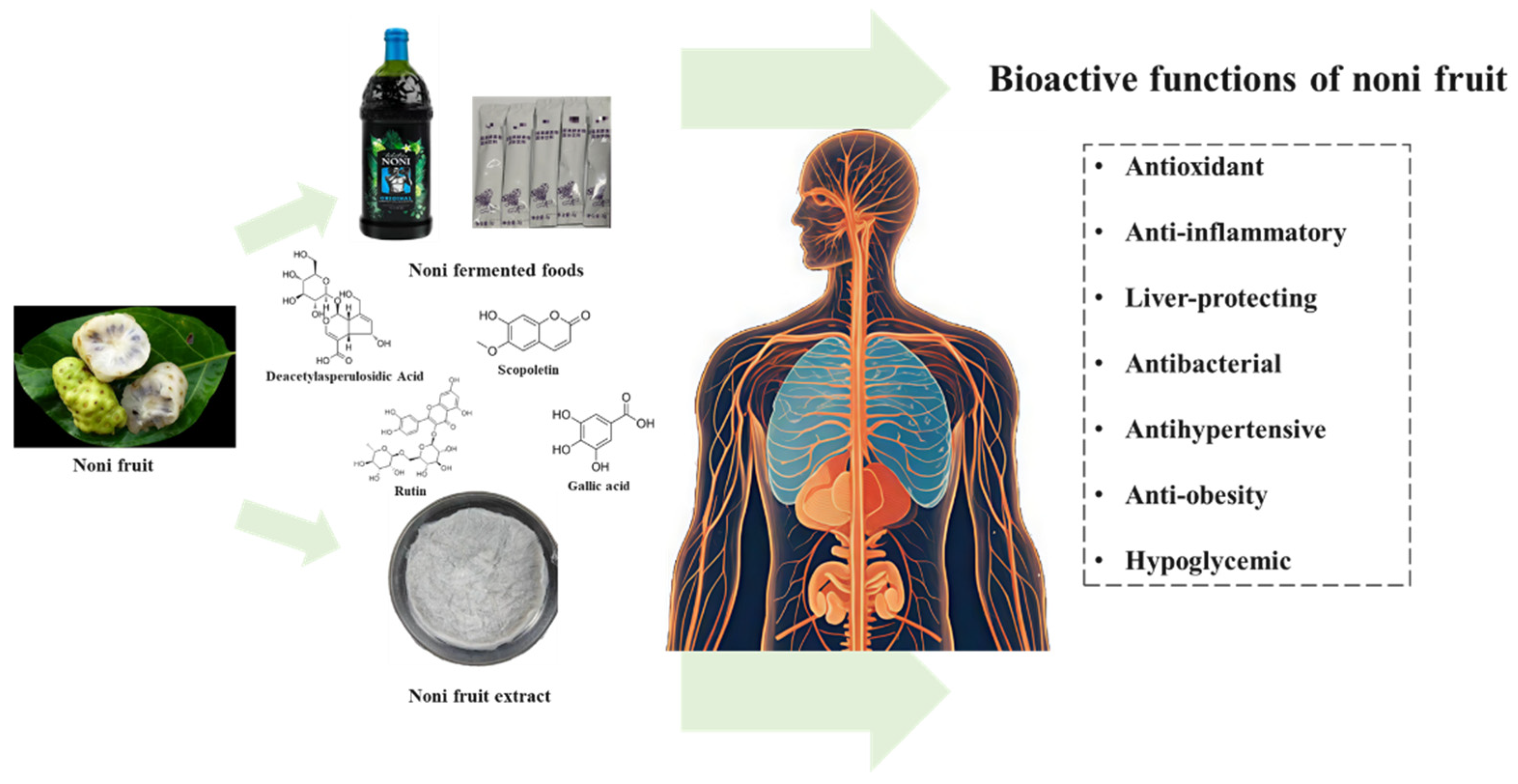 Research Progress on Nutritional Properties of Noni (Morinda