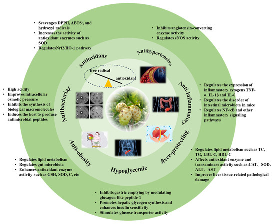 Research Progress on Nutritional Properties of Noni (Morinda