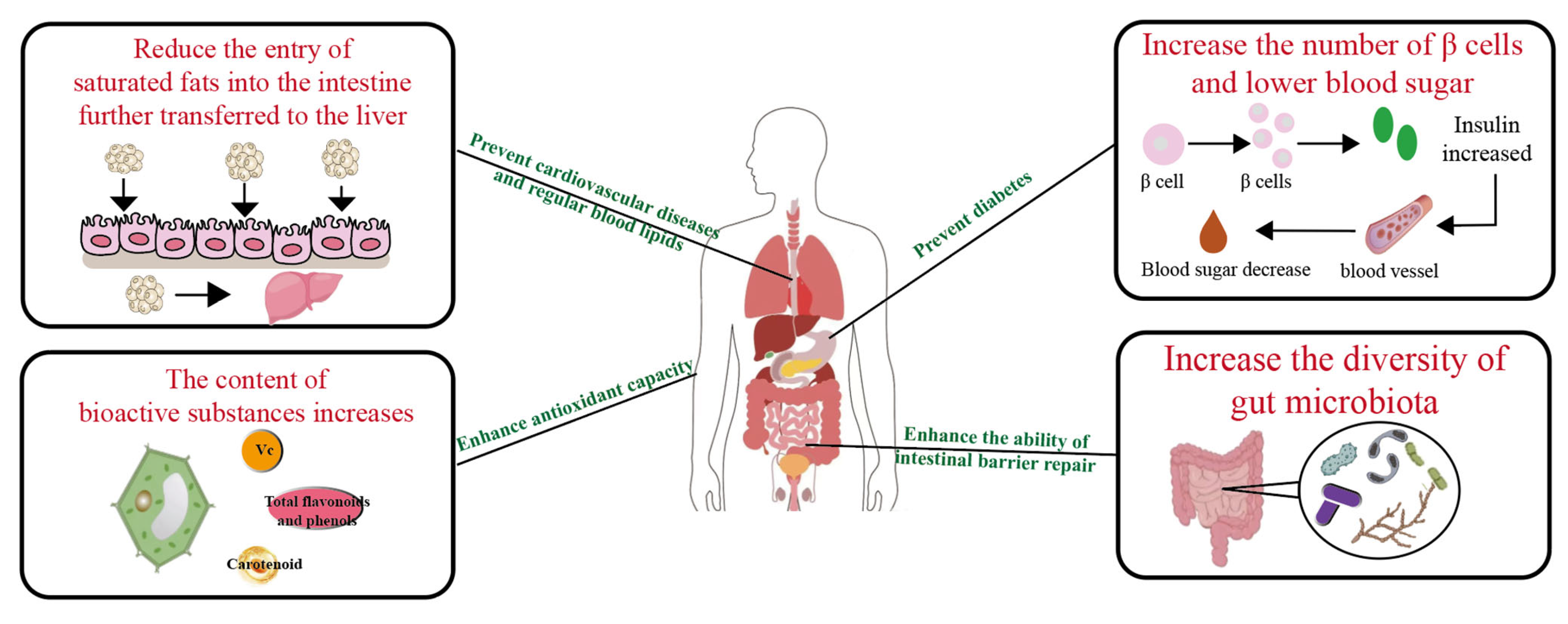 Fermentation 11 00364 g003