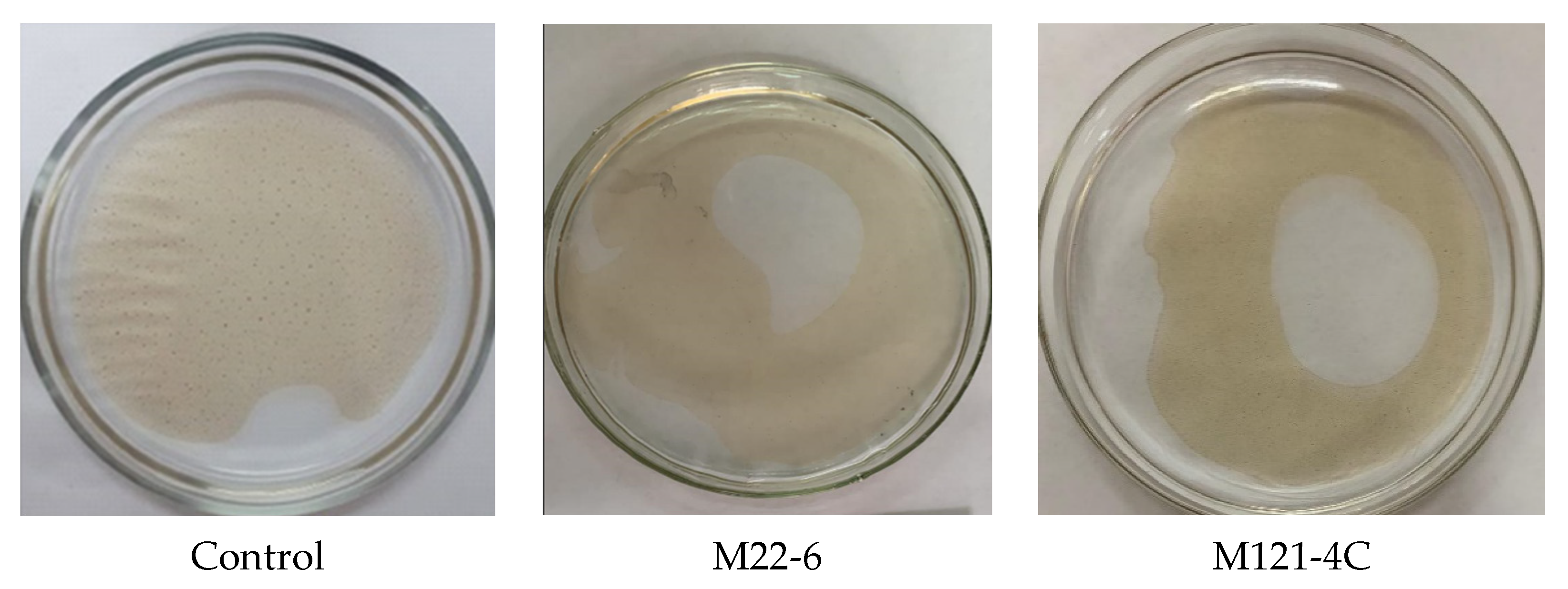 Fermentation 11 00367 g002