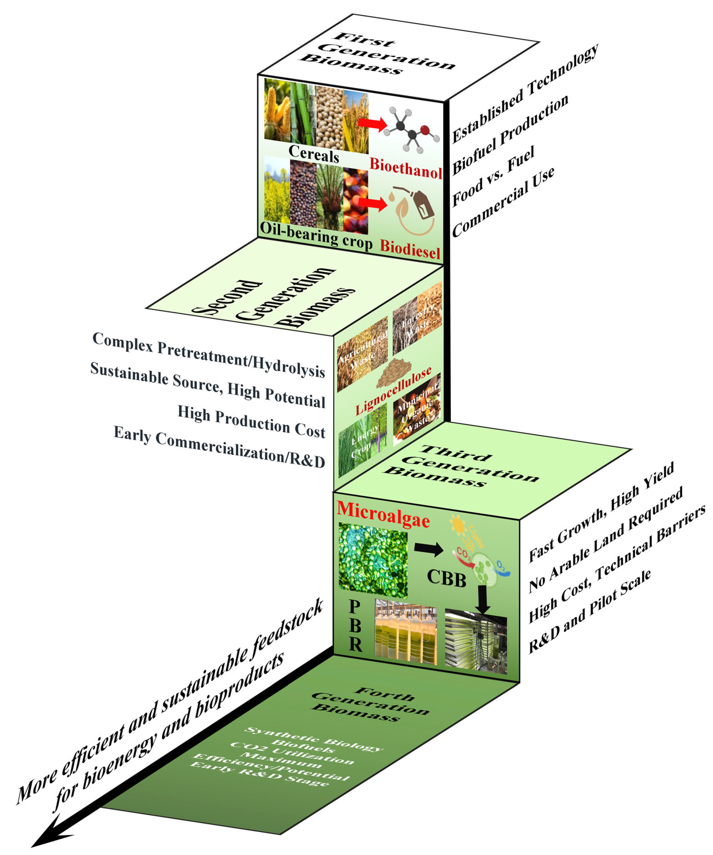 Fermentation 11 00371 g001