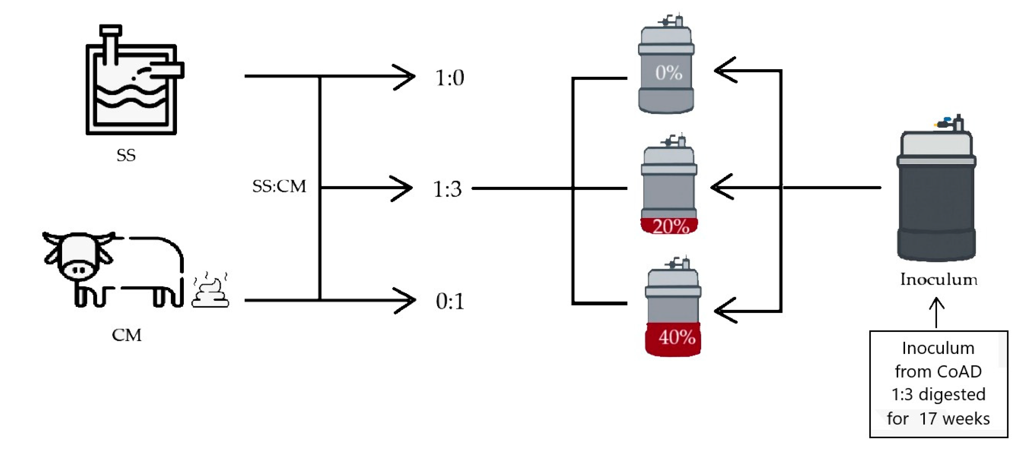 Fermentation 11 00373 g001