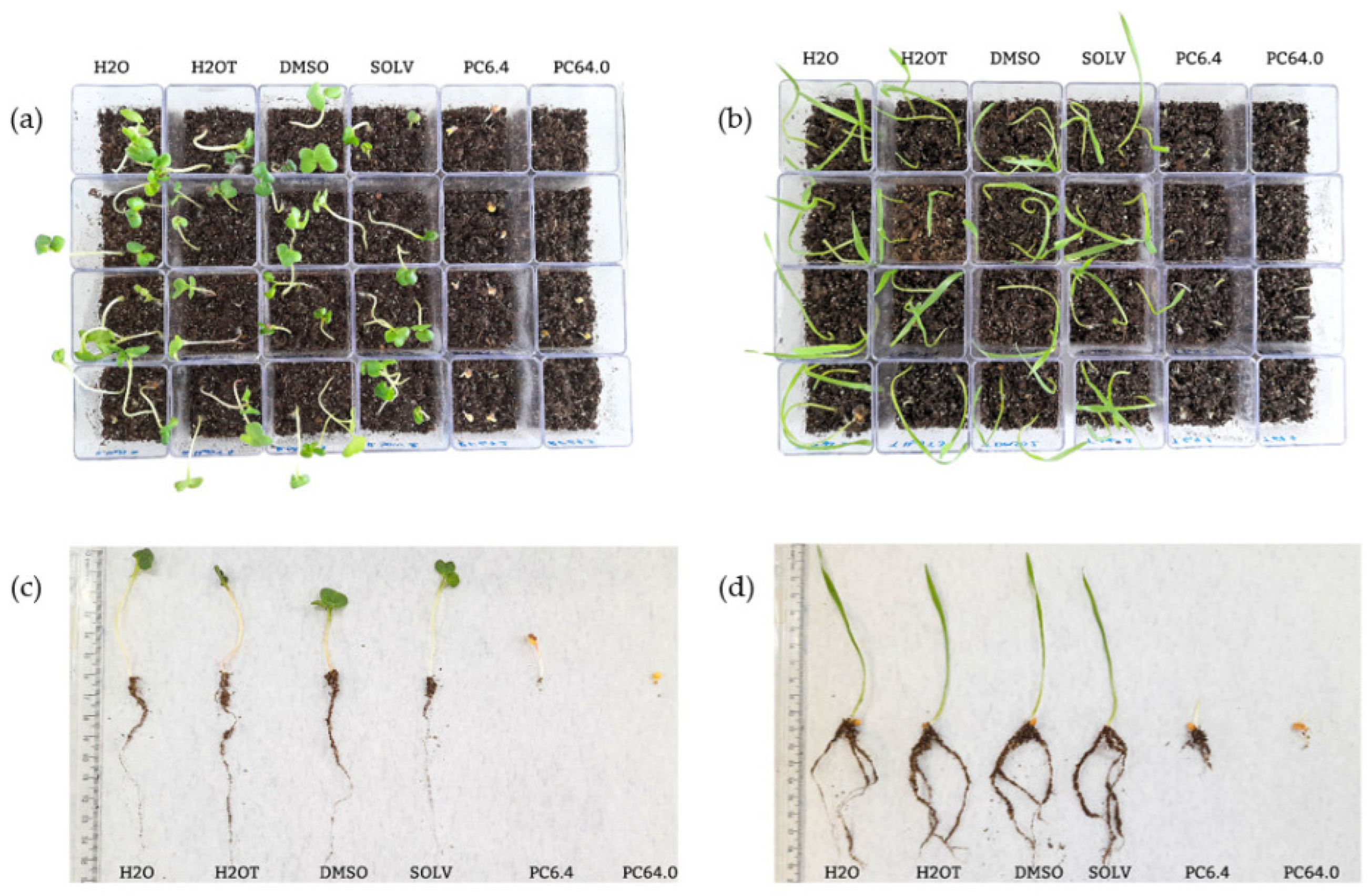 Fermentation 11 00375 g006