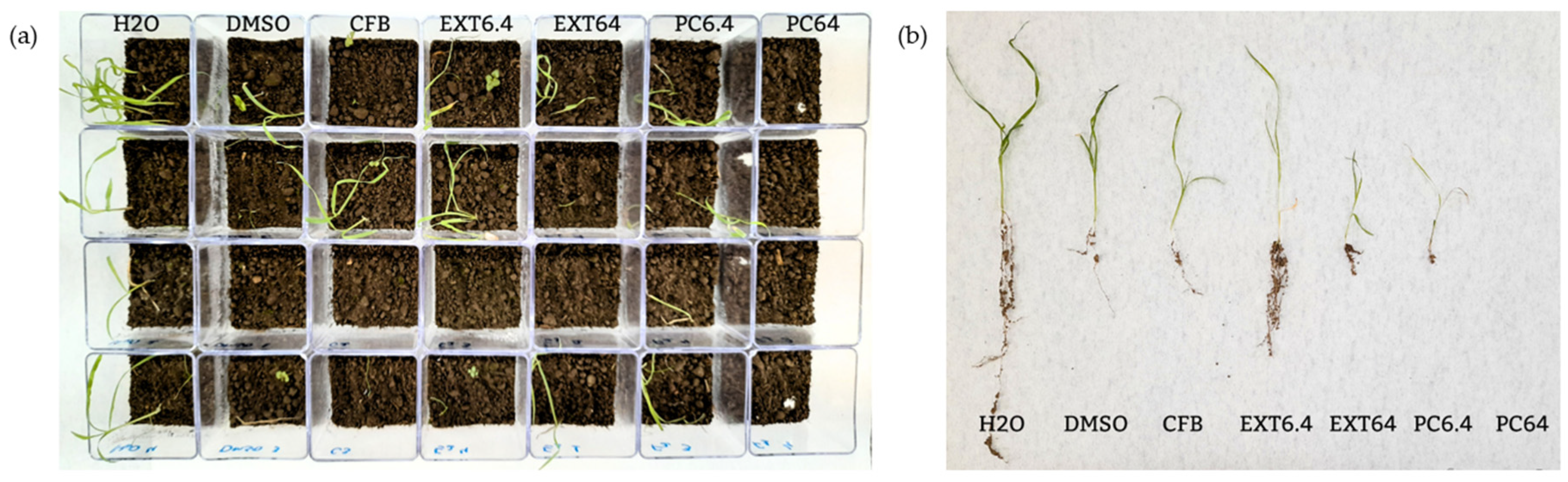 Fermentation 11 00375 g007