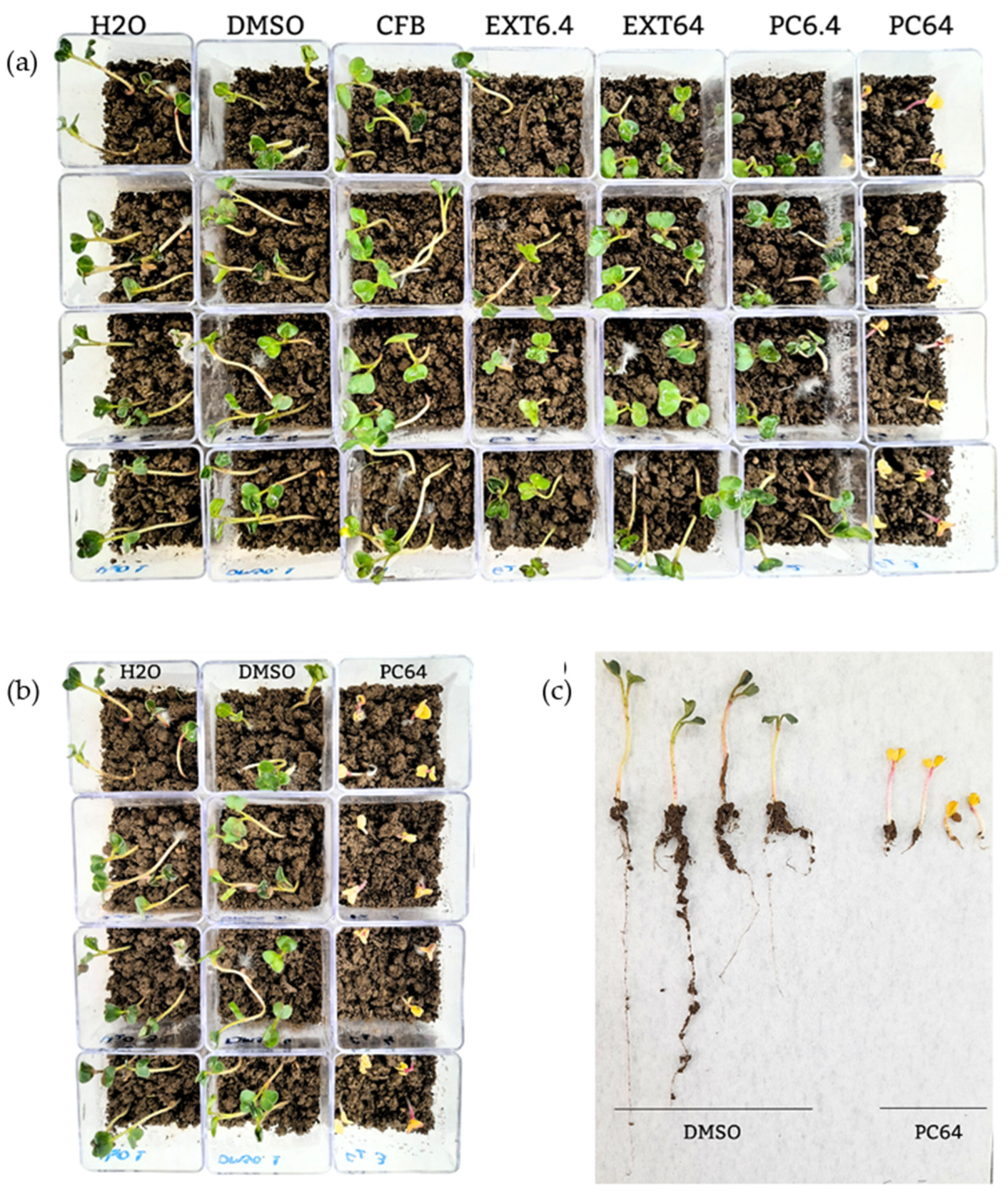 Fermentation 11 00375 g009