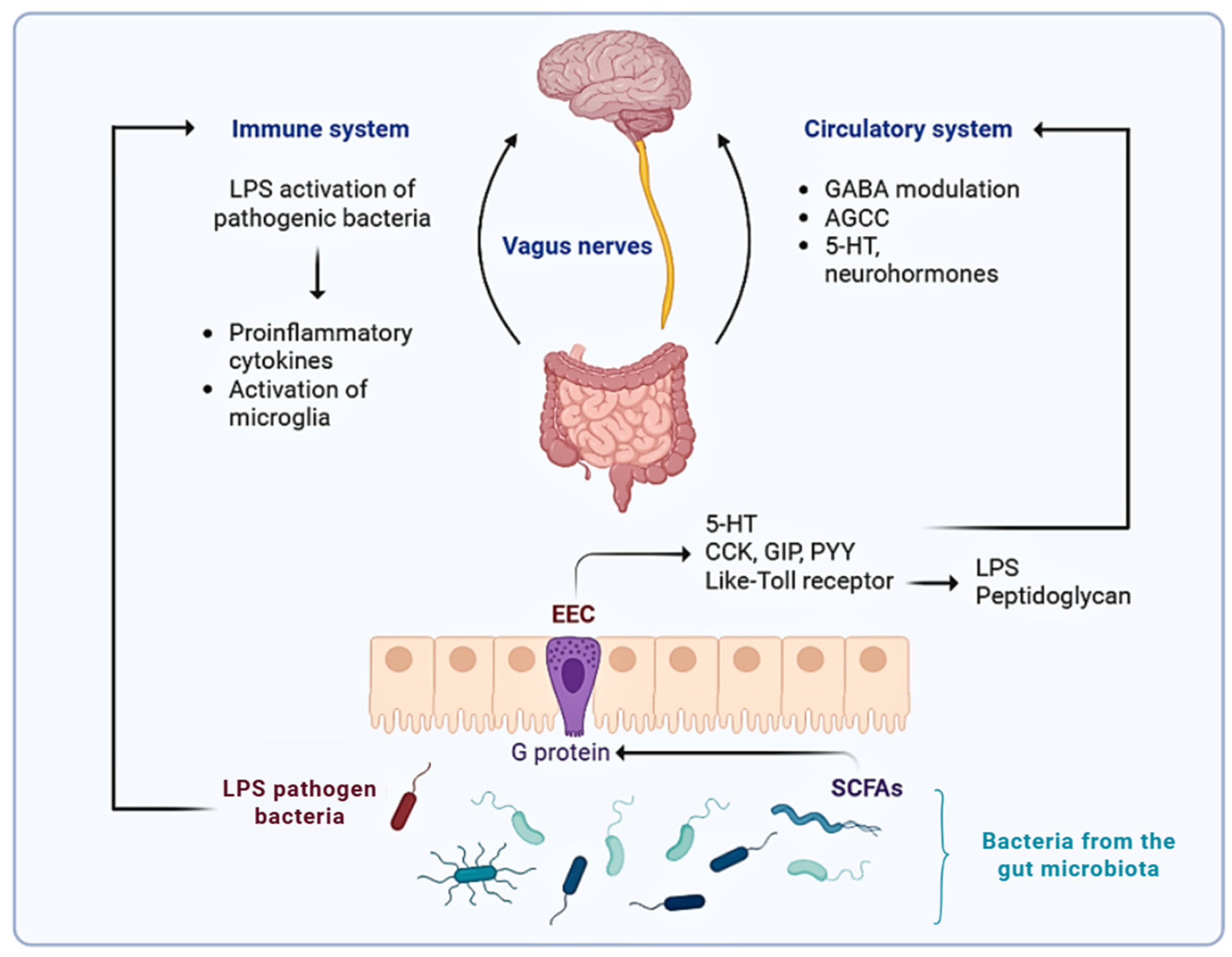 Fermentation 11 00378 g001