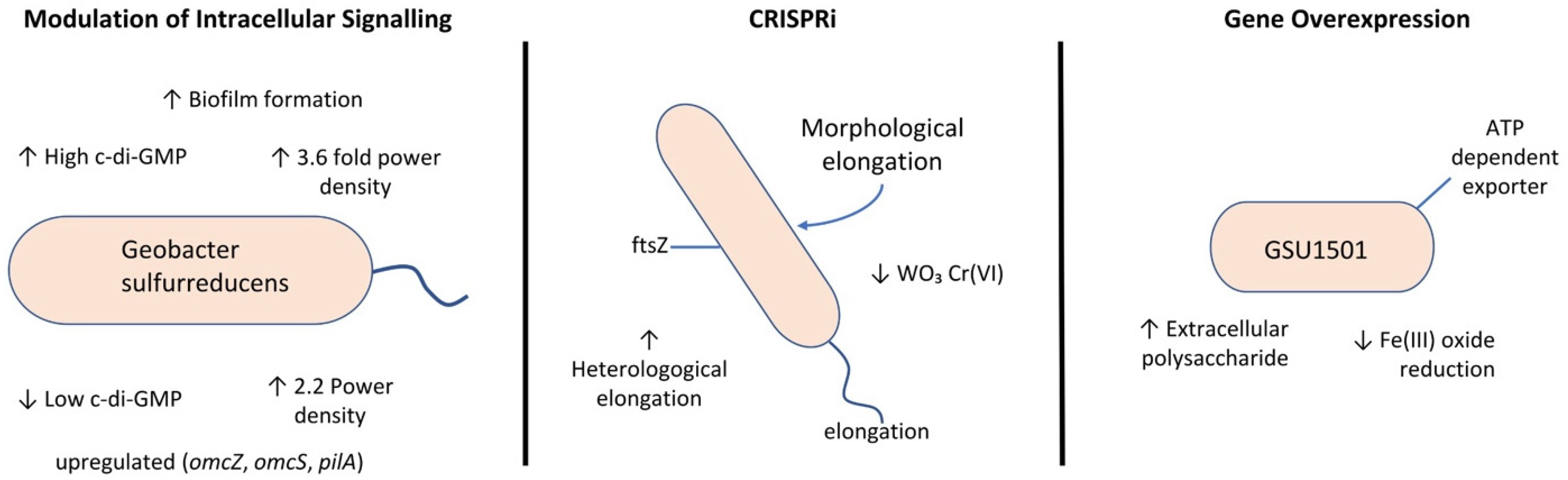 Fermentation 11 00381 g008