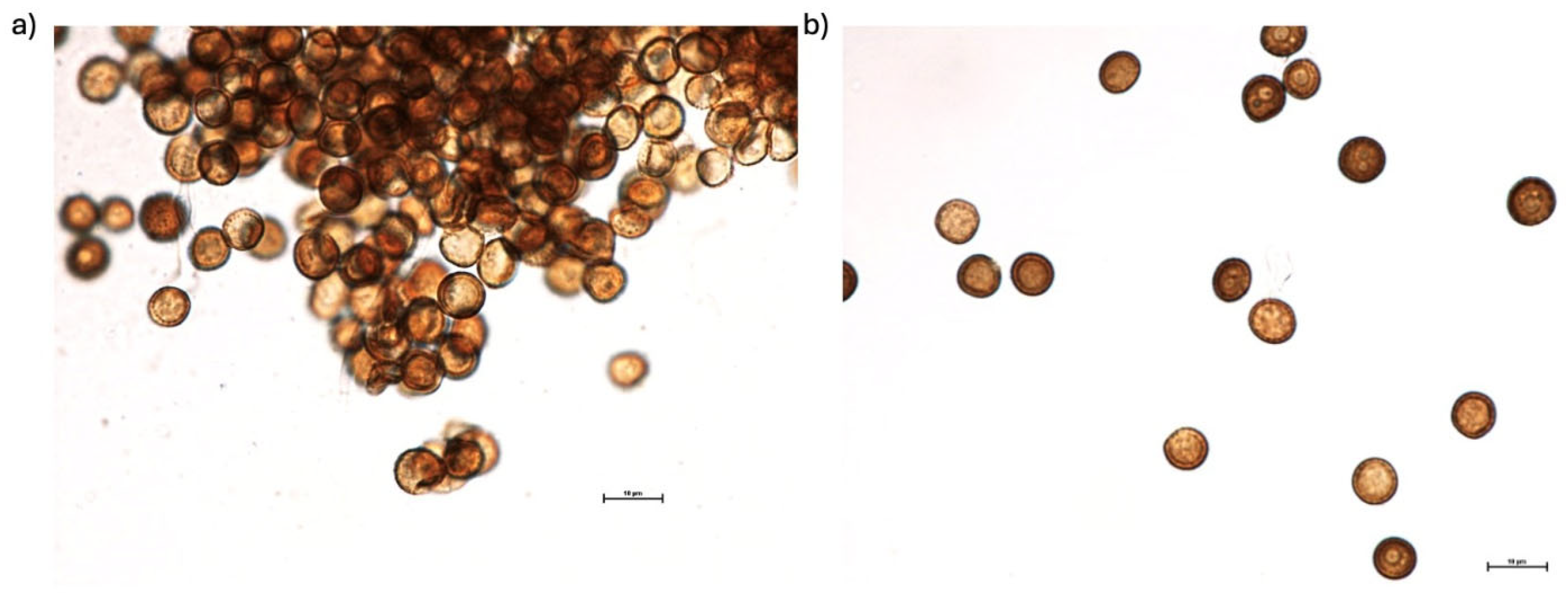 Fermentation 11 00384 g001