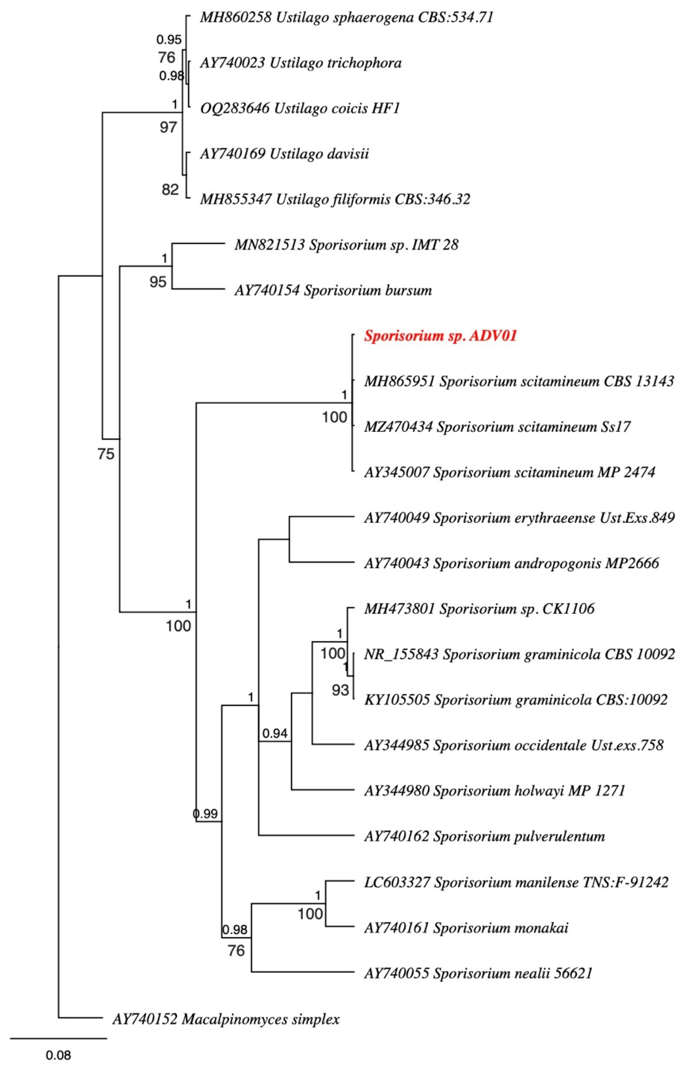 Fermentation 11 00384 g003