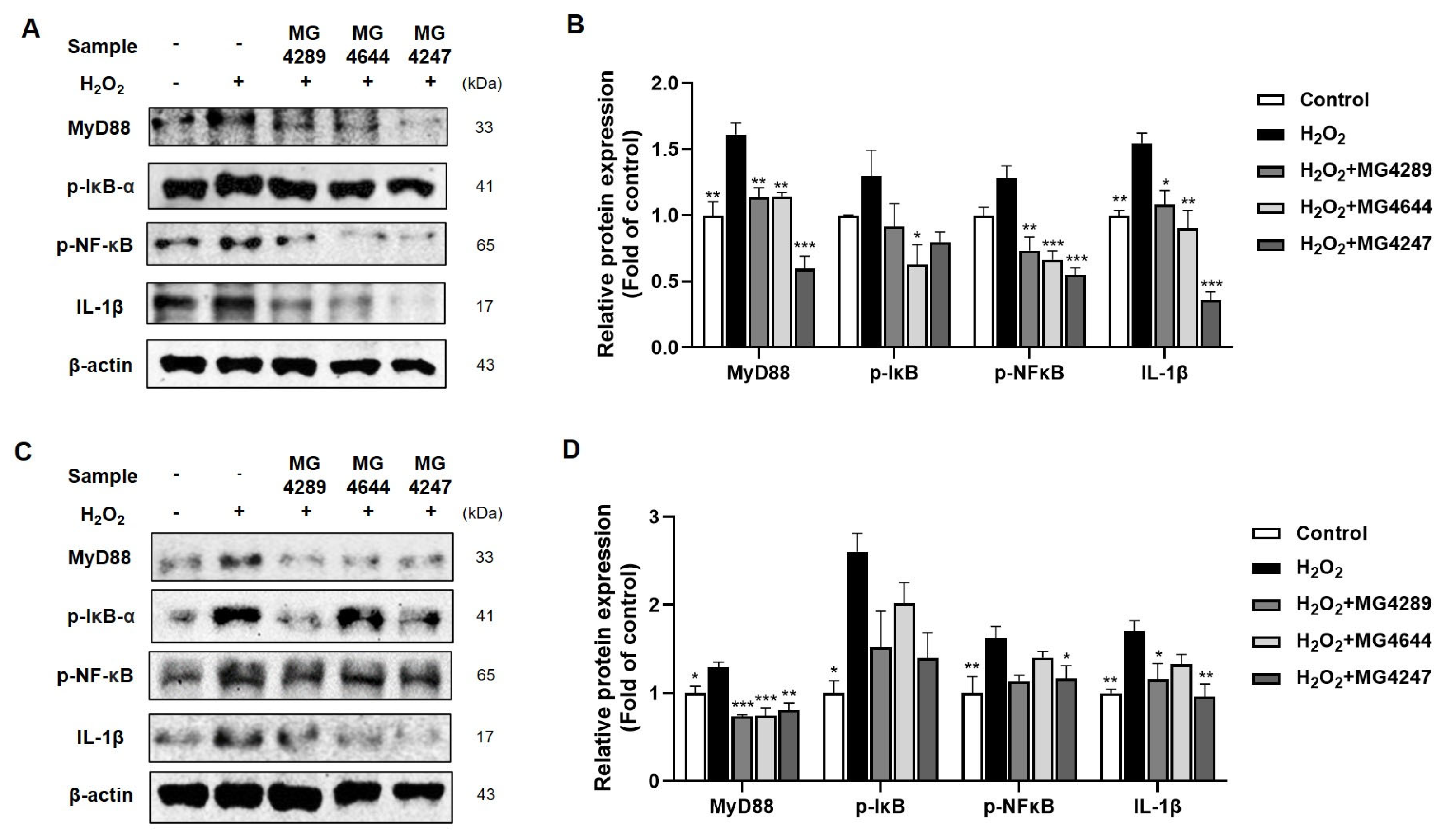 Fermentation 11 00385 g002