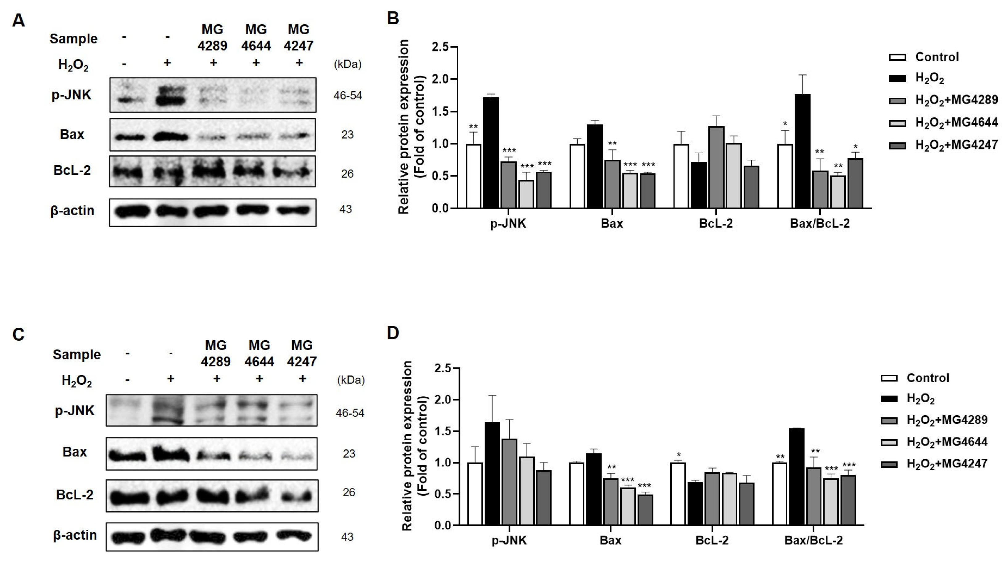Fermentation 11 00385 g003