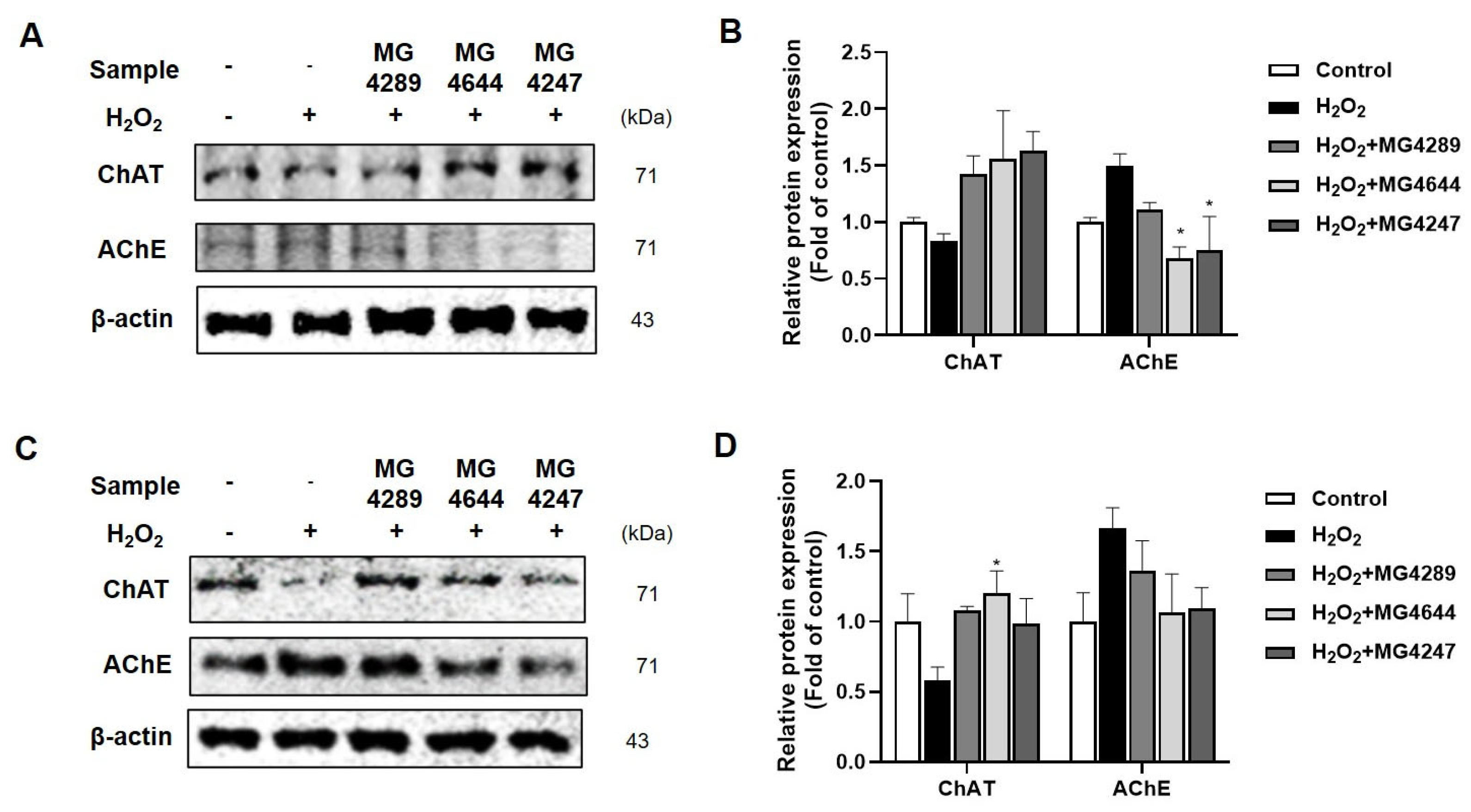 Fermentation 11 00385 g004