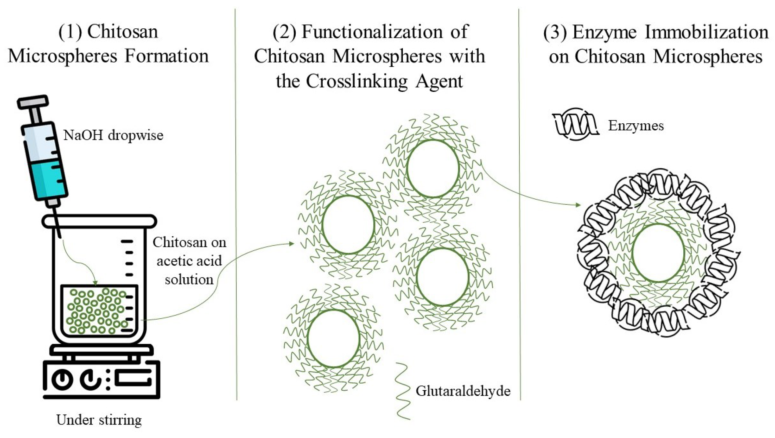 Fermentation 11 00387 g001
