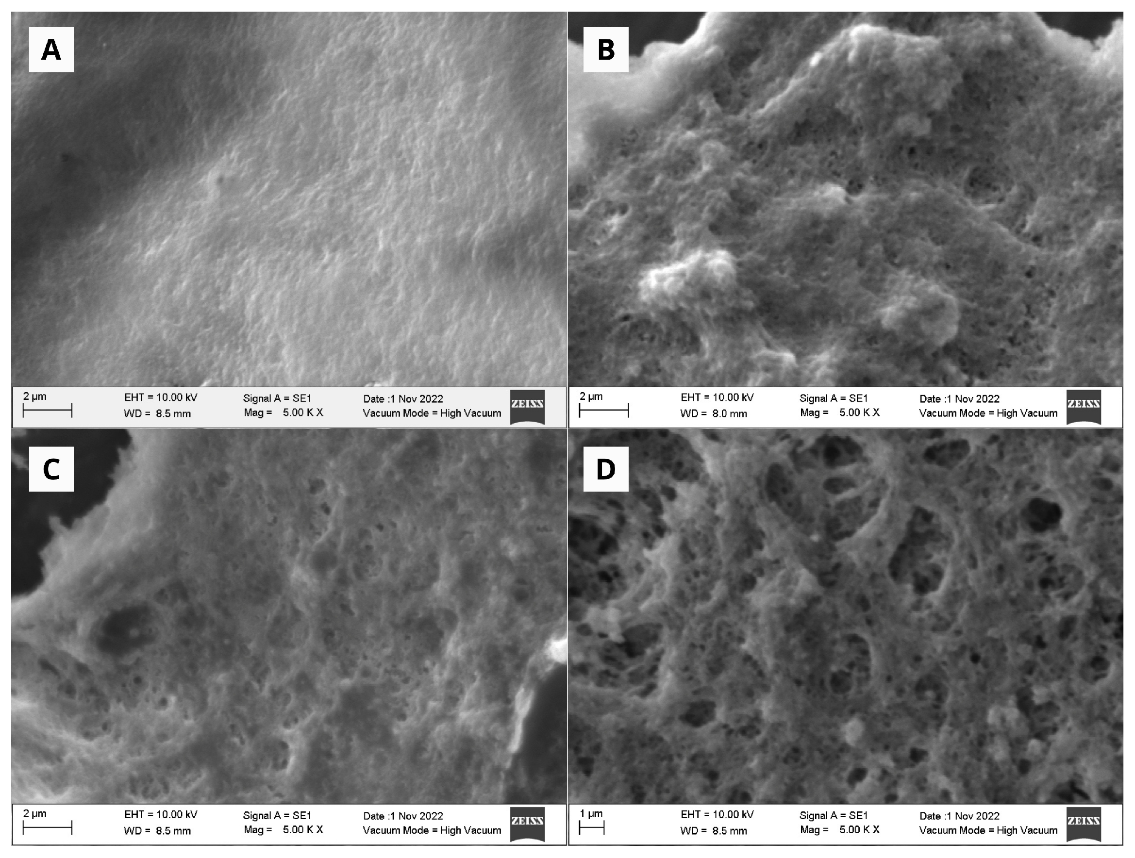 Fermentation 11 00387 g003